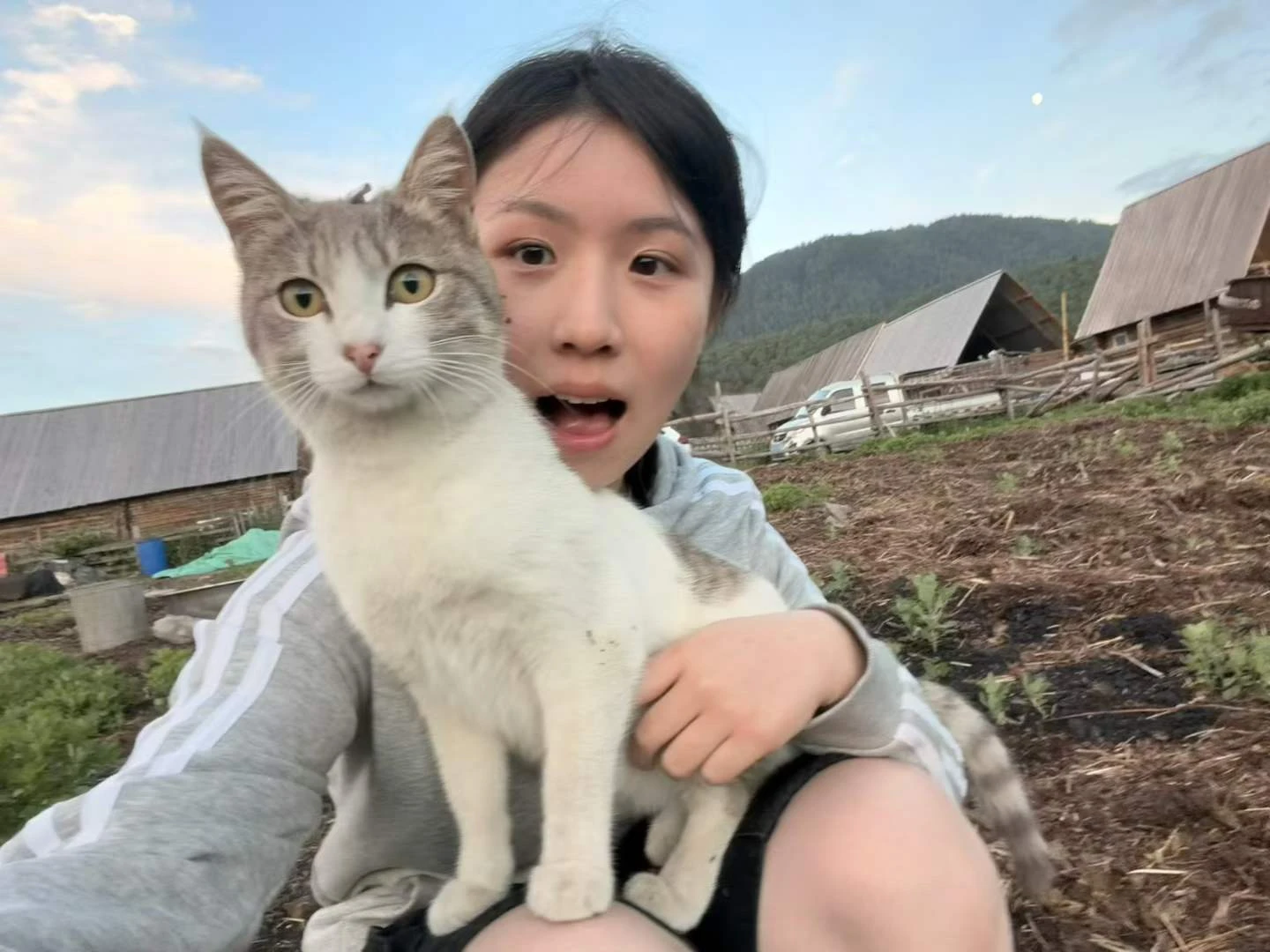 image-6