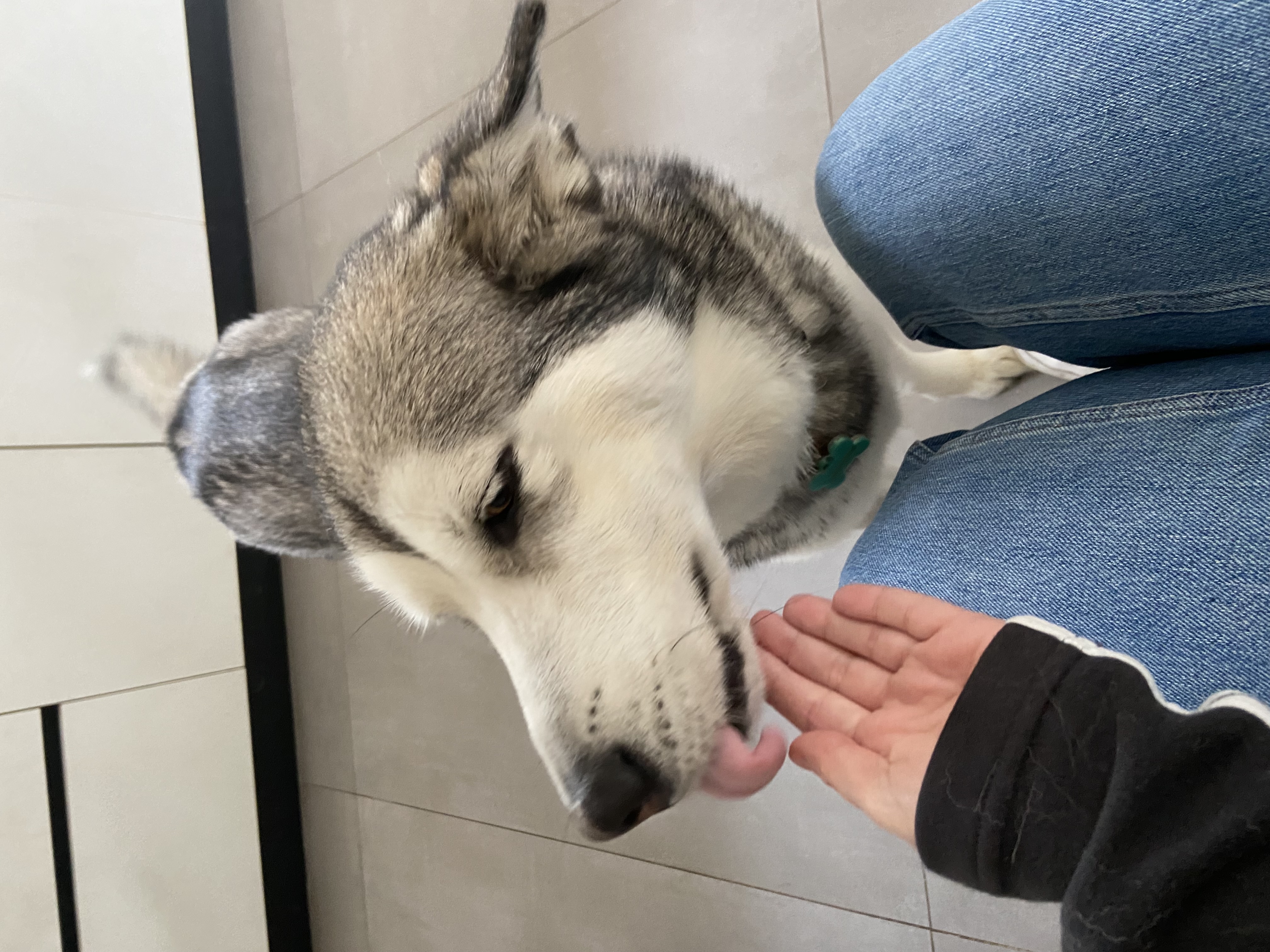 image-9
