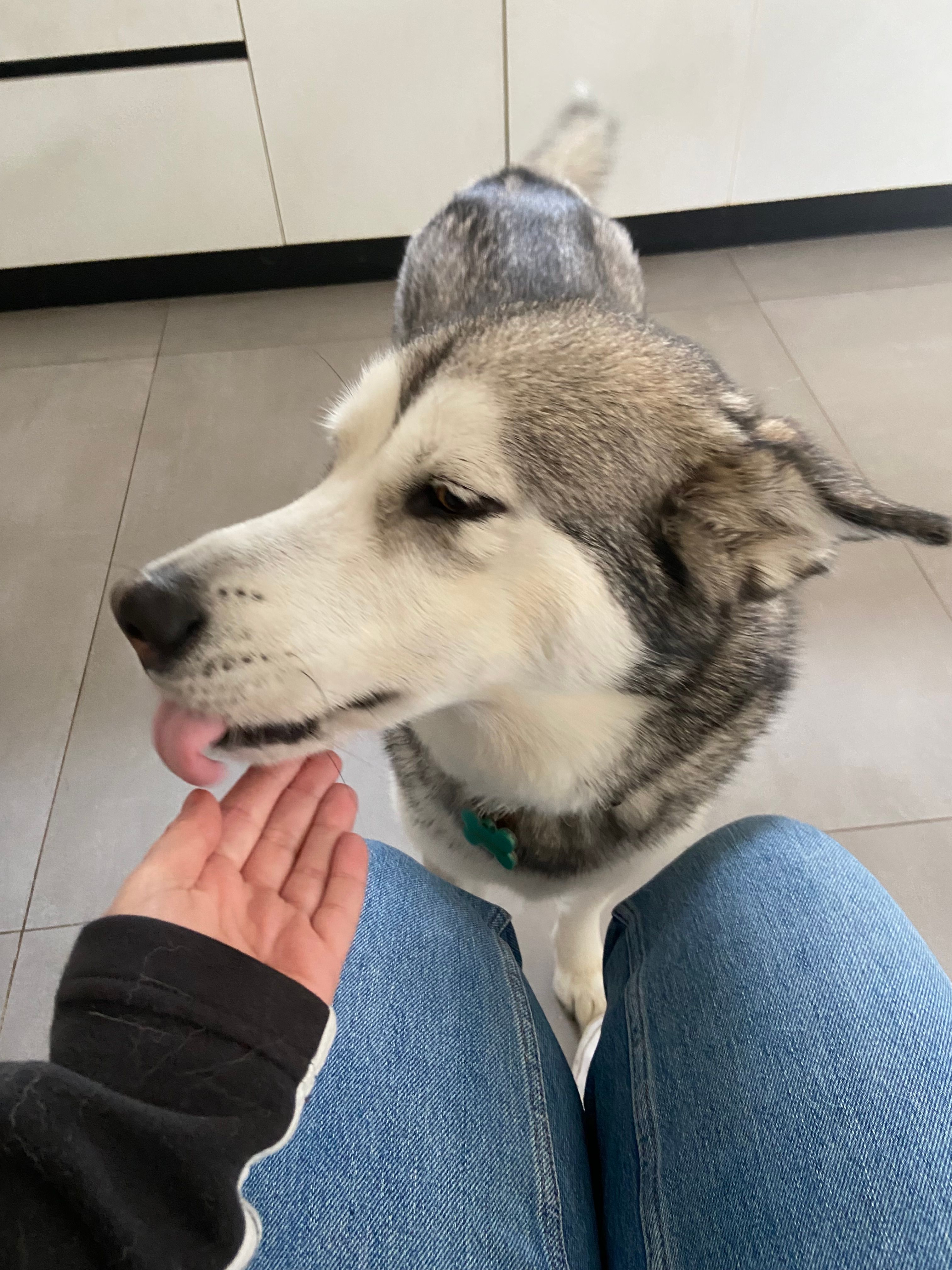 image-9