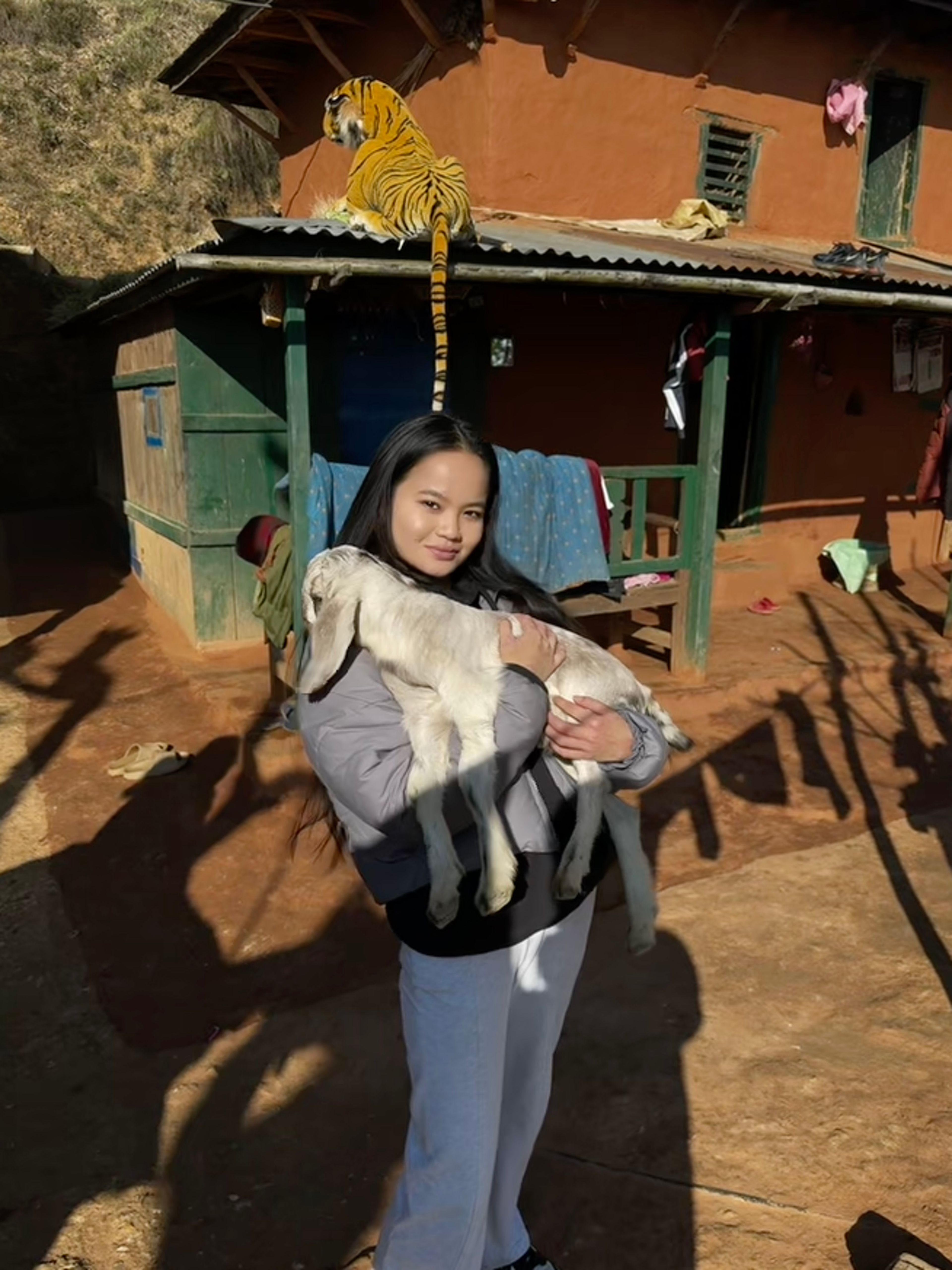 image-6