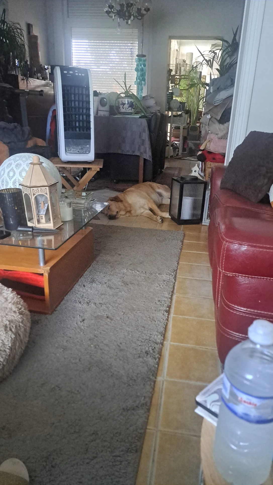 image-46