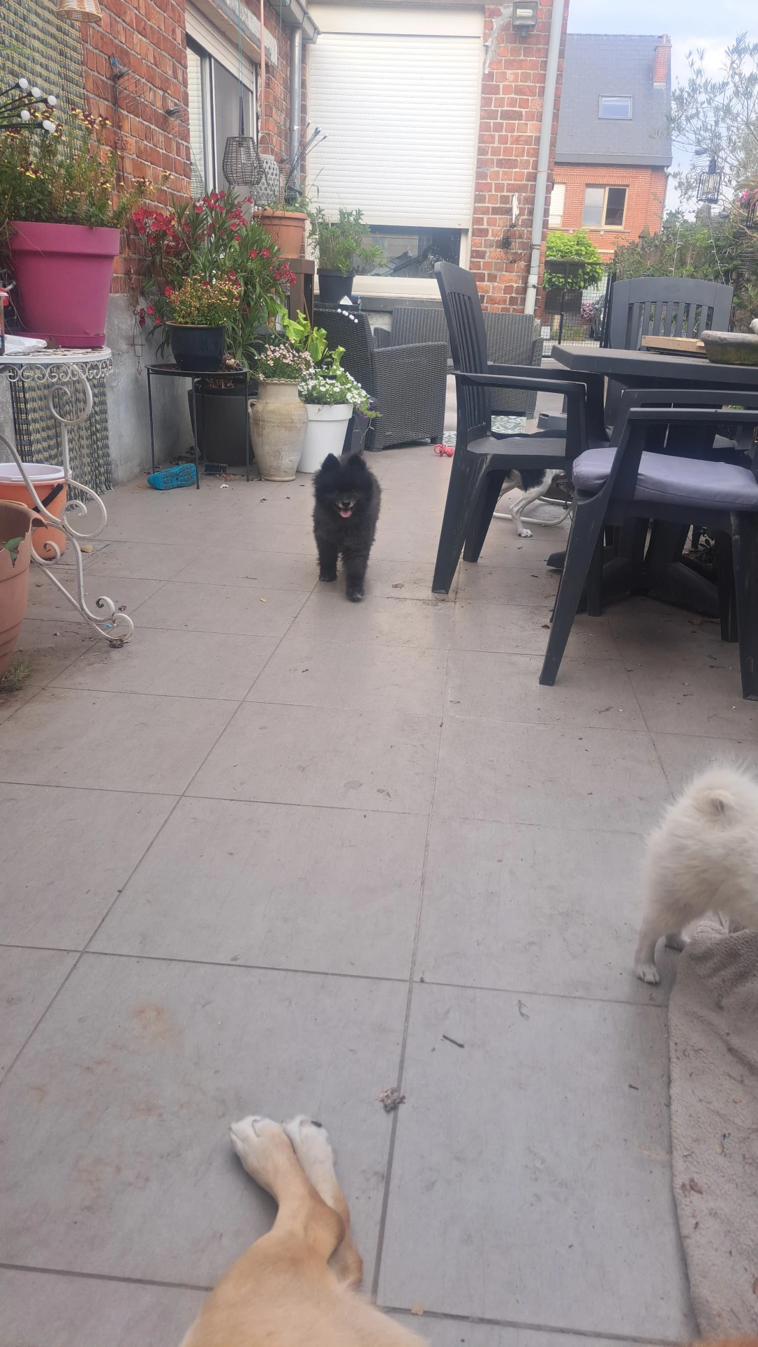 image-43