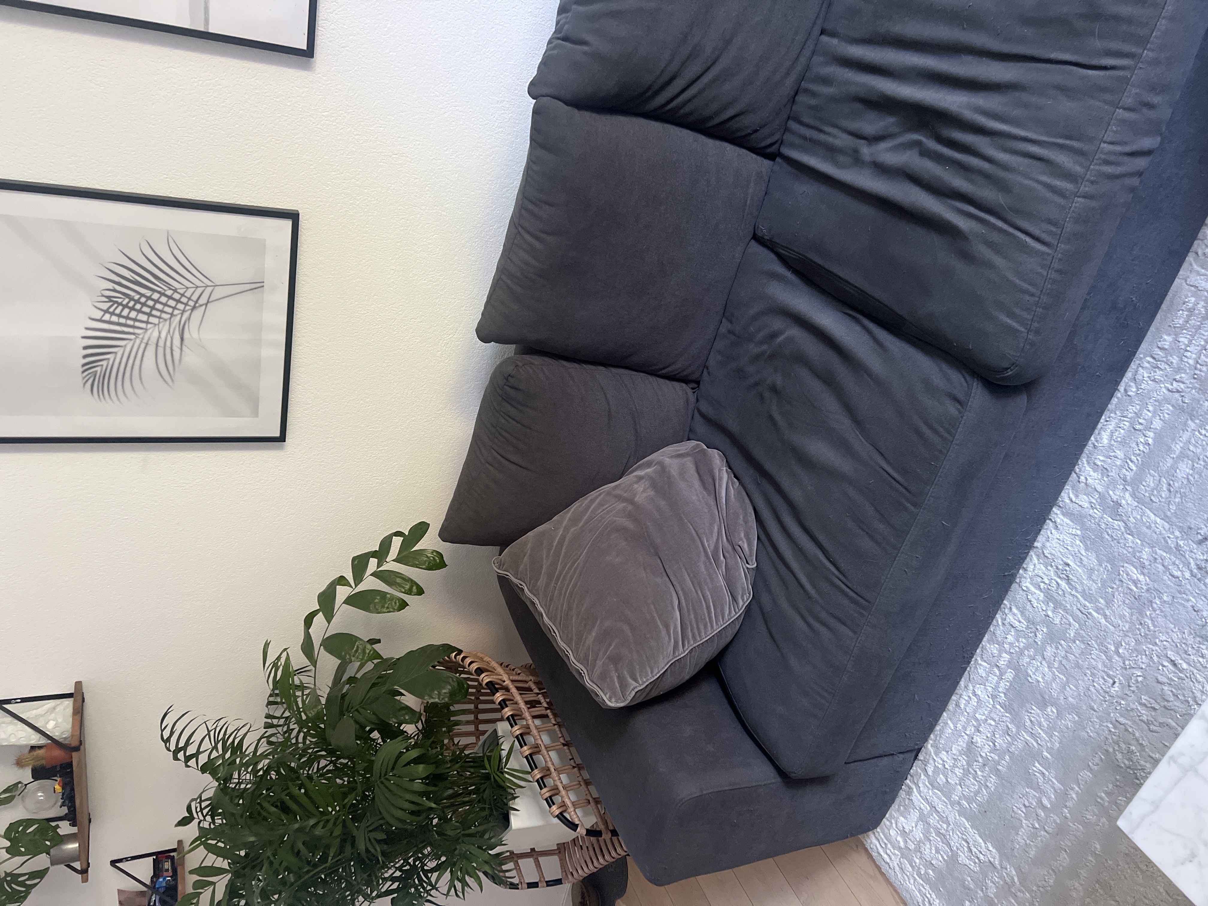 image-19