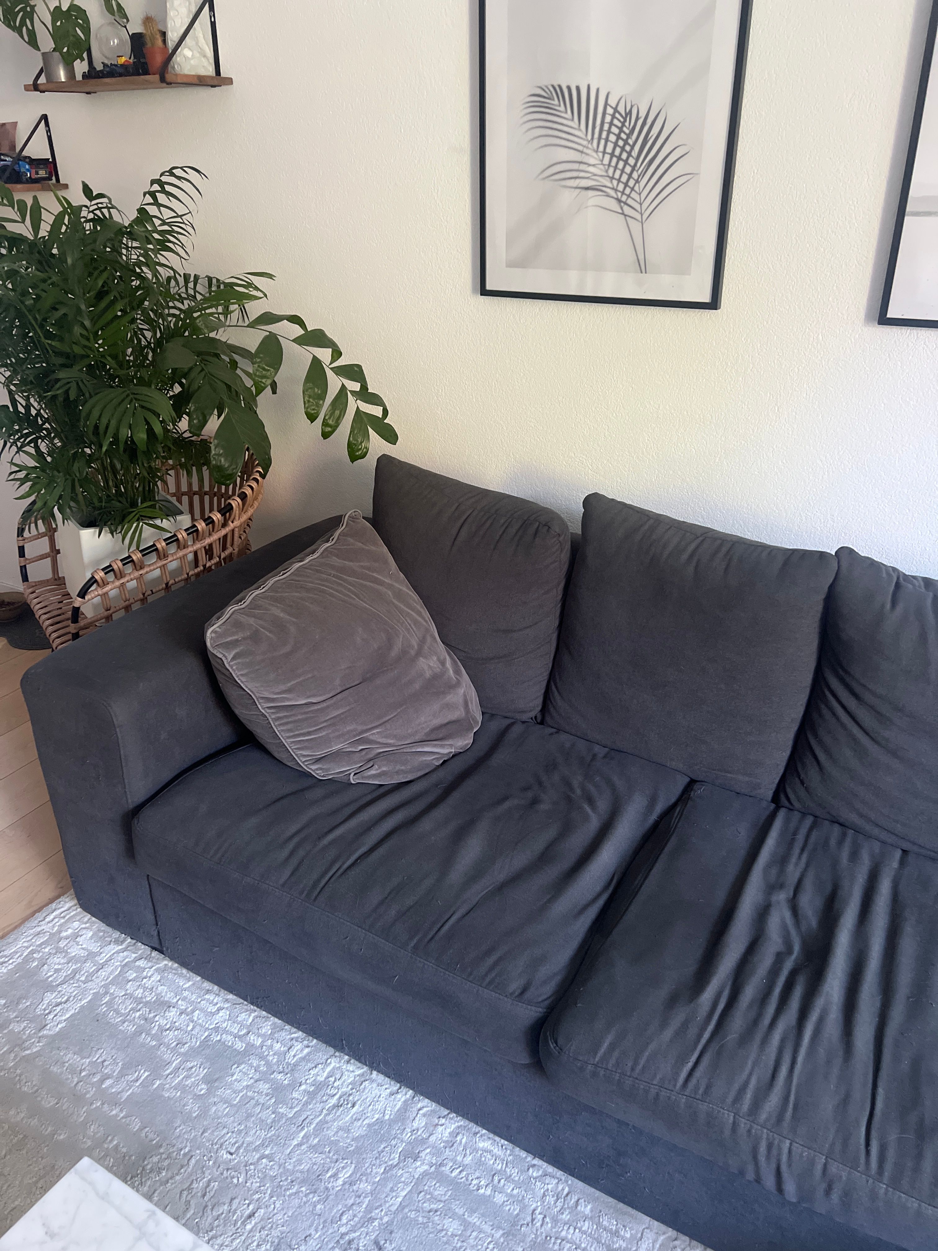 image-19