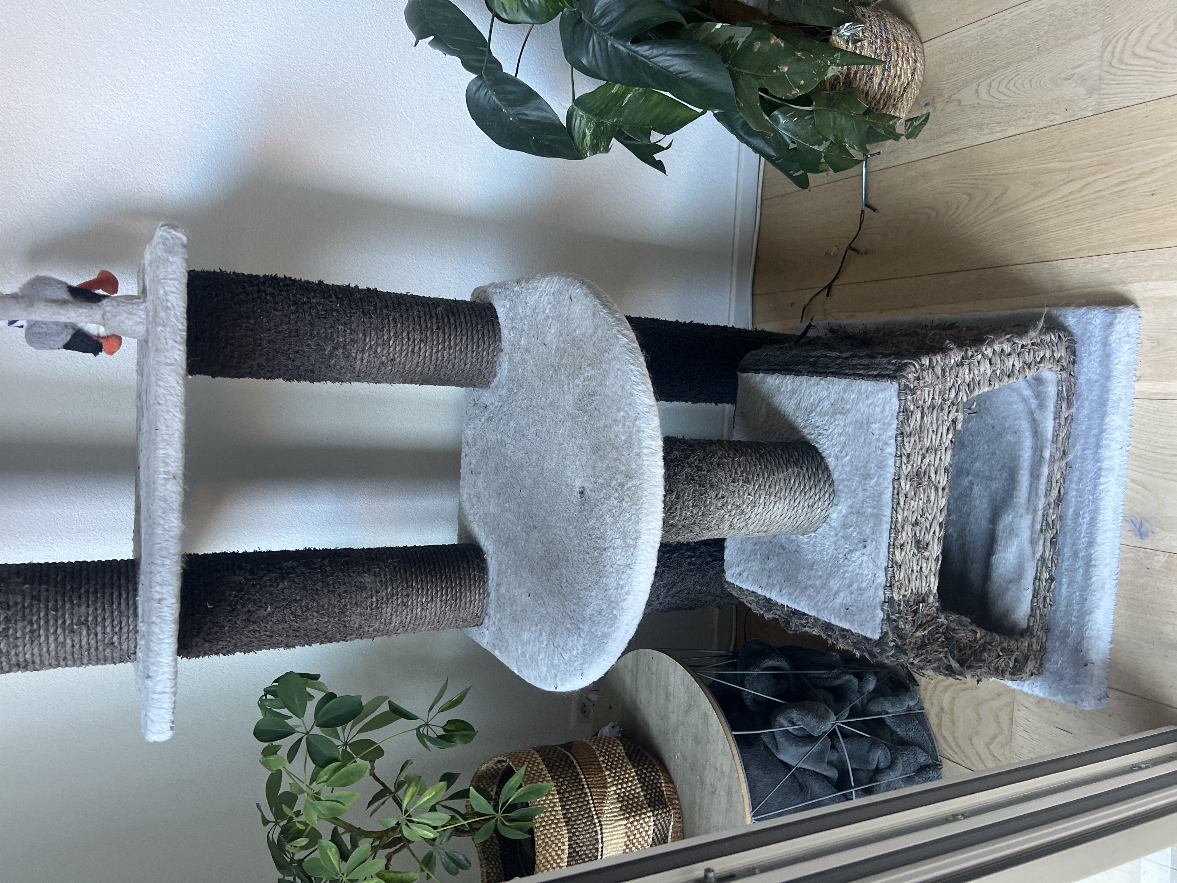 image-16