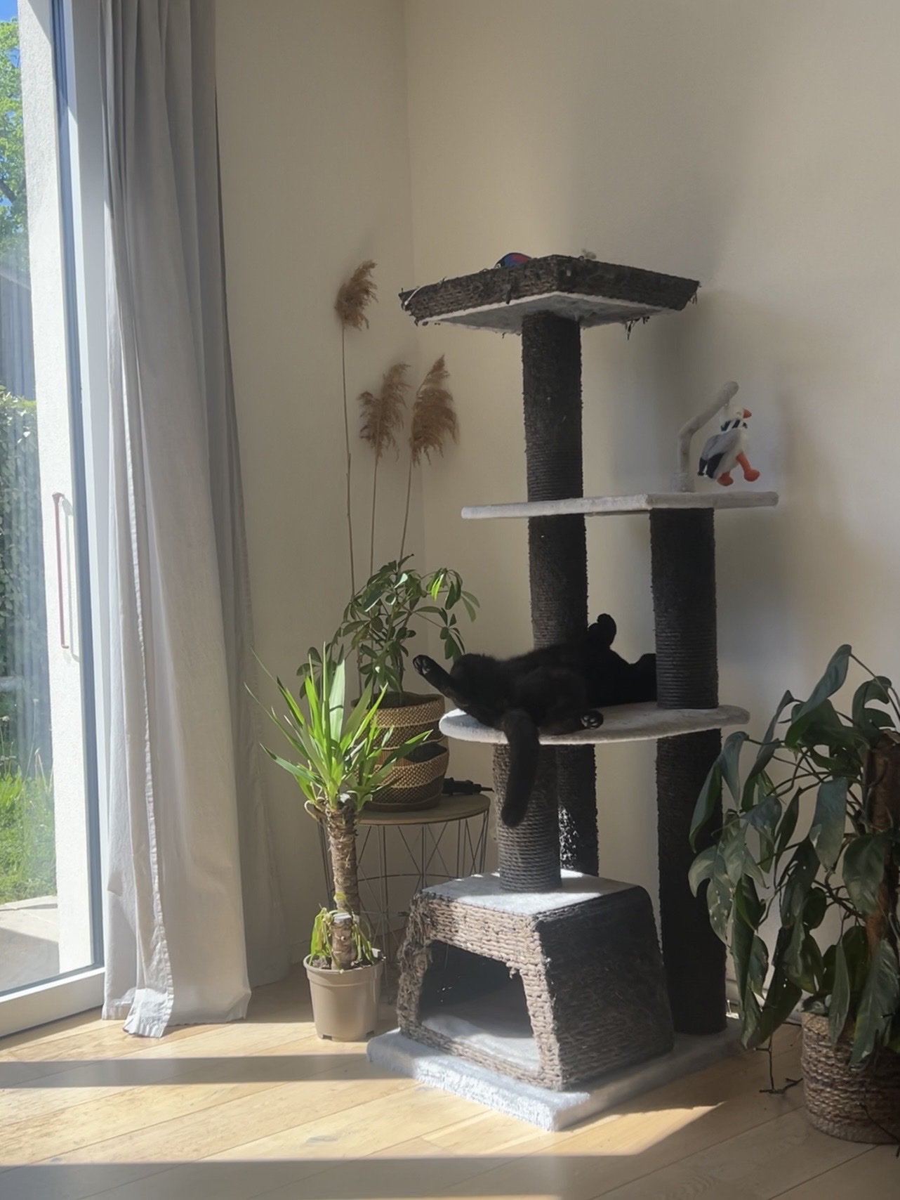image-12
