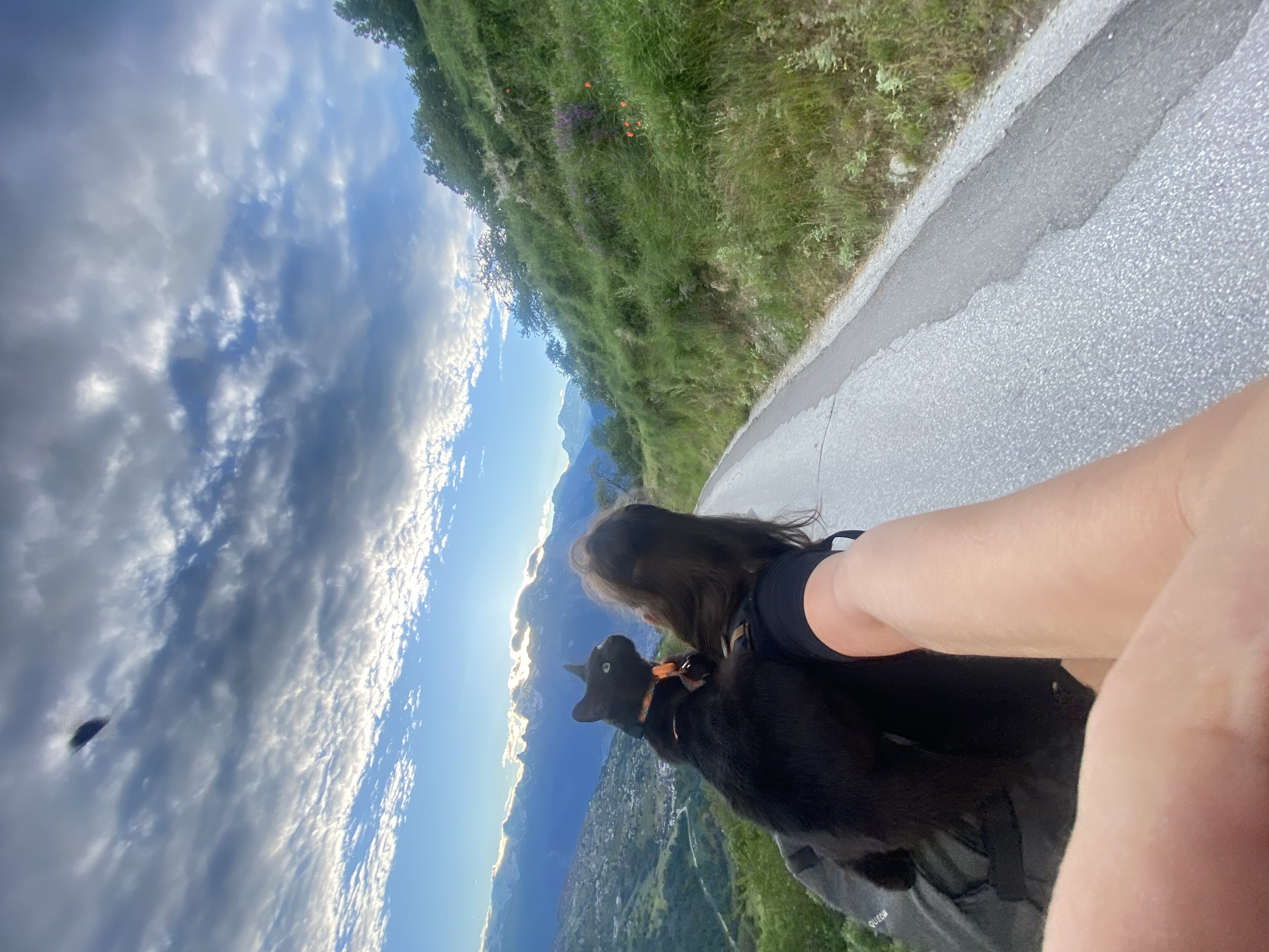 image-8