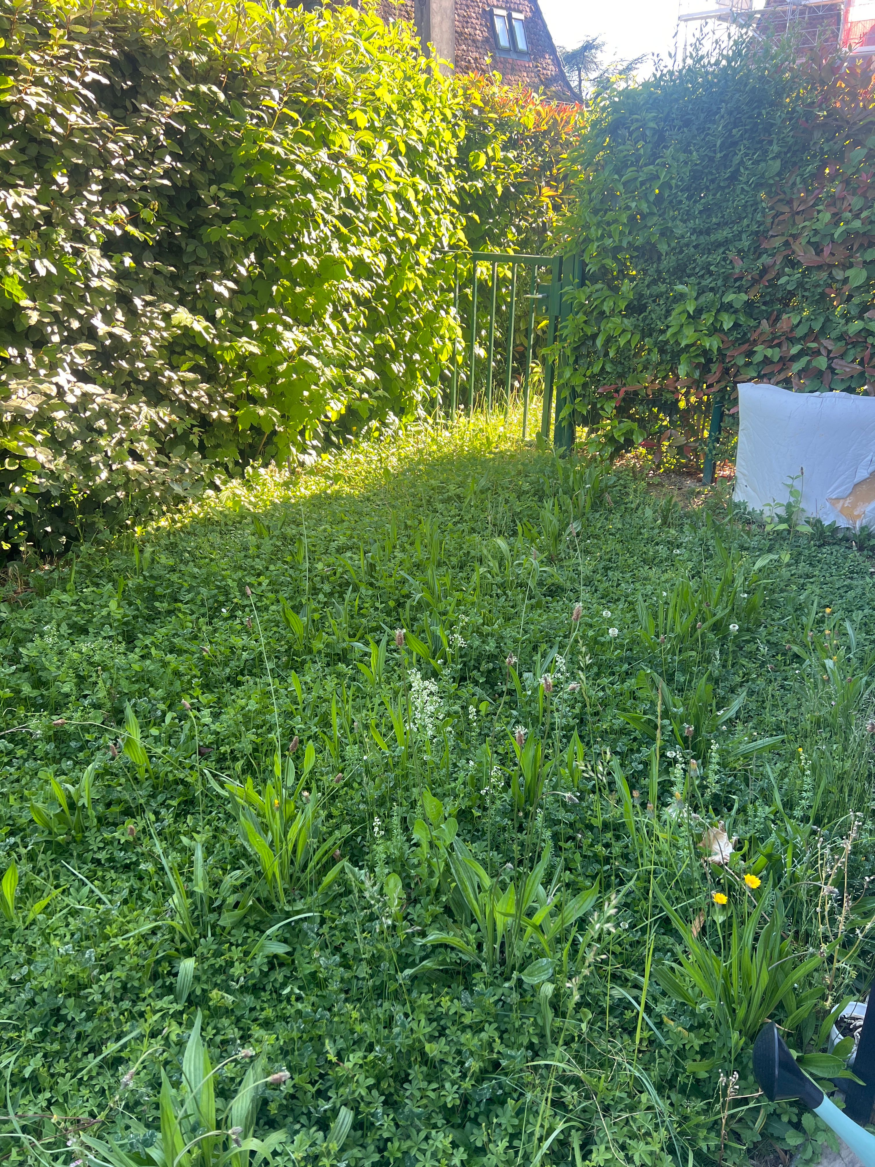 image-17