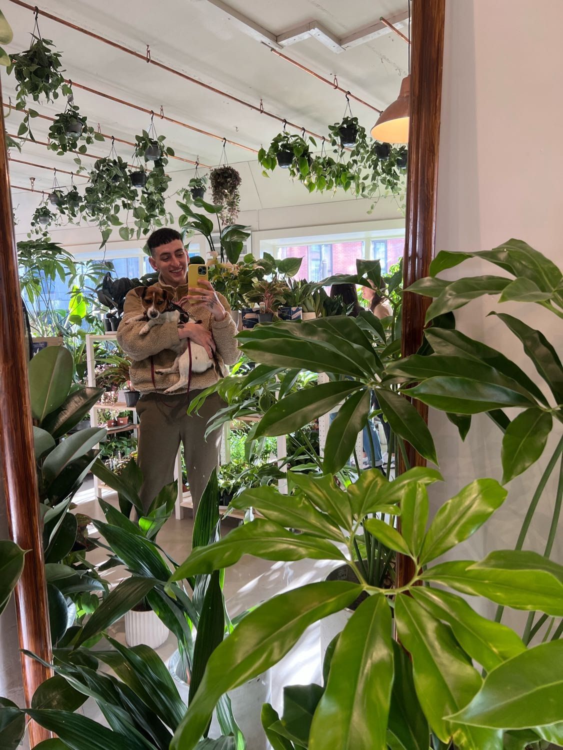 image-10