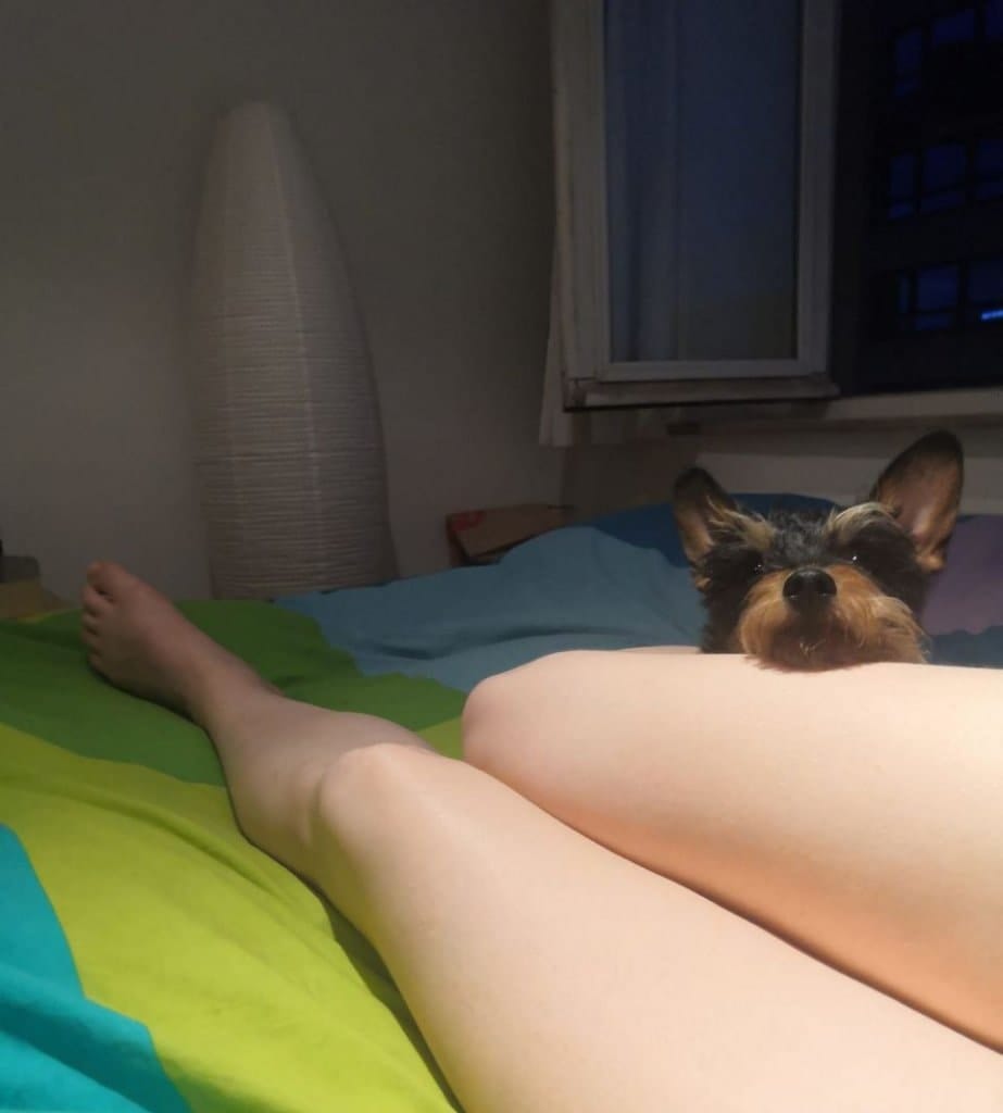 image-5
