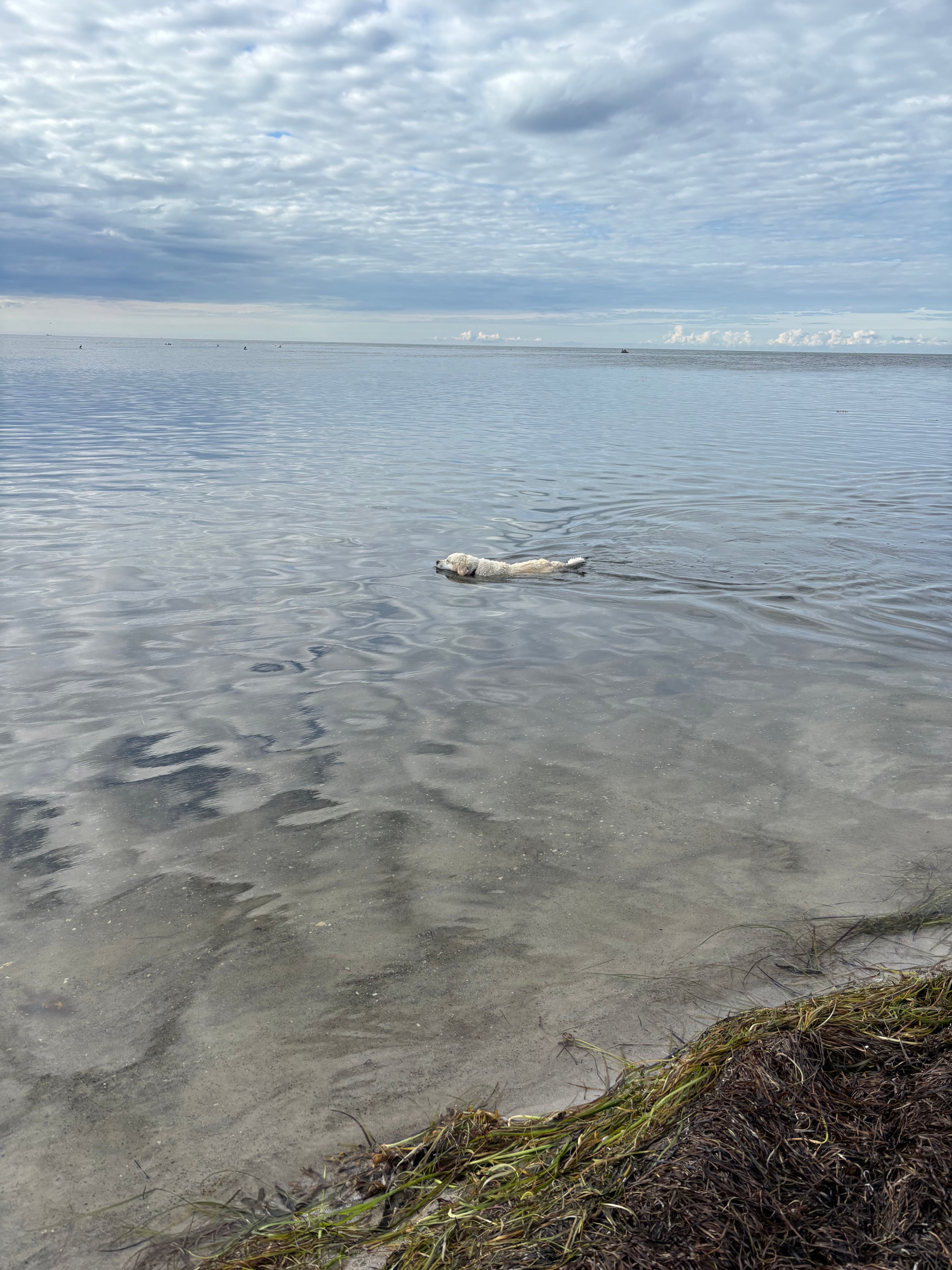 image-15