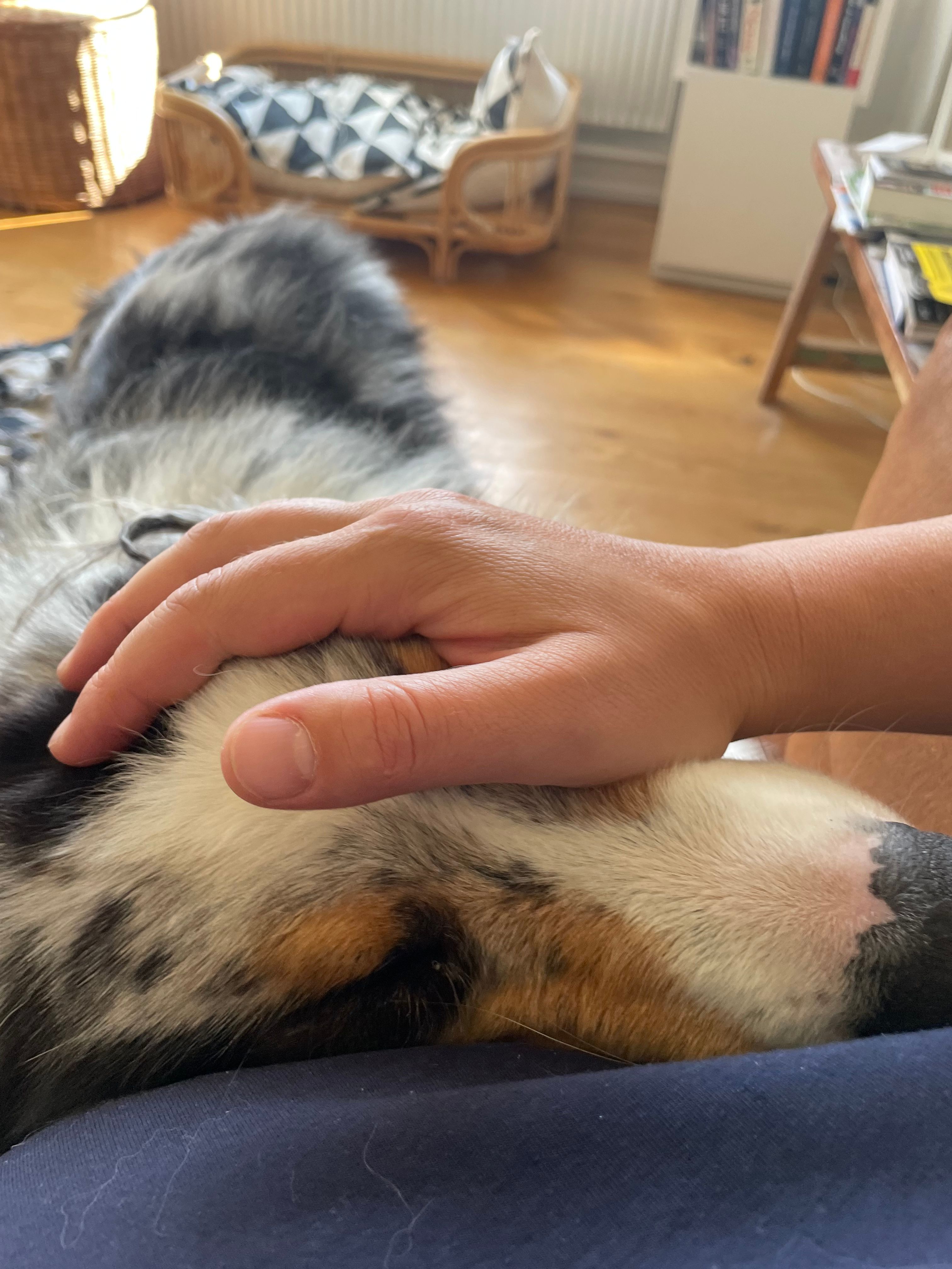 image-7