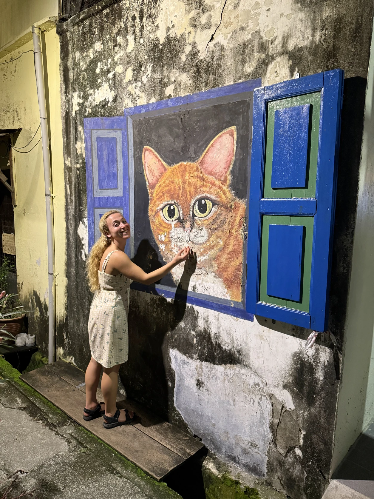 image-5