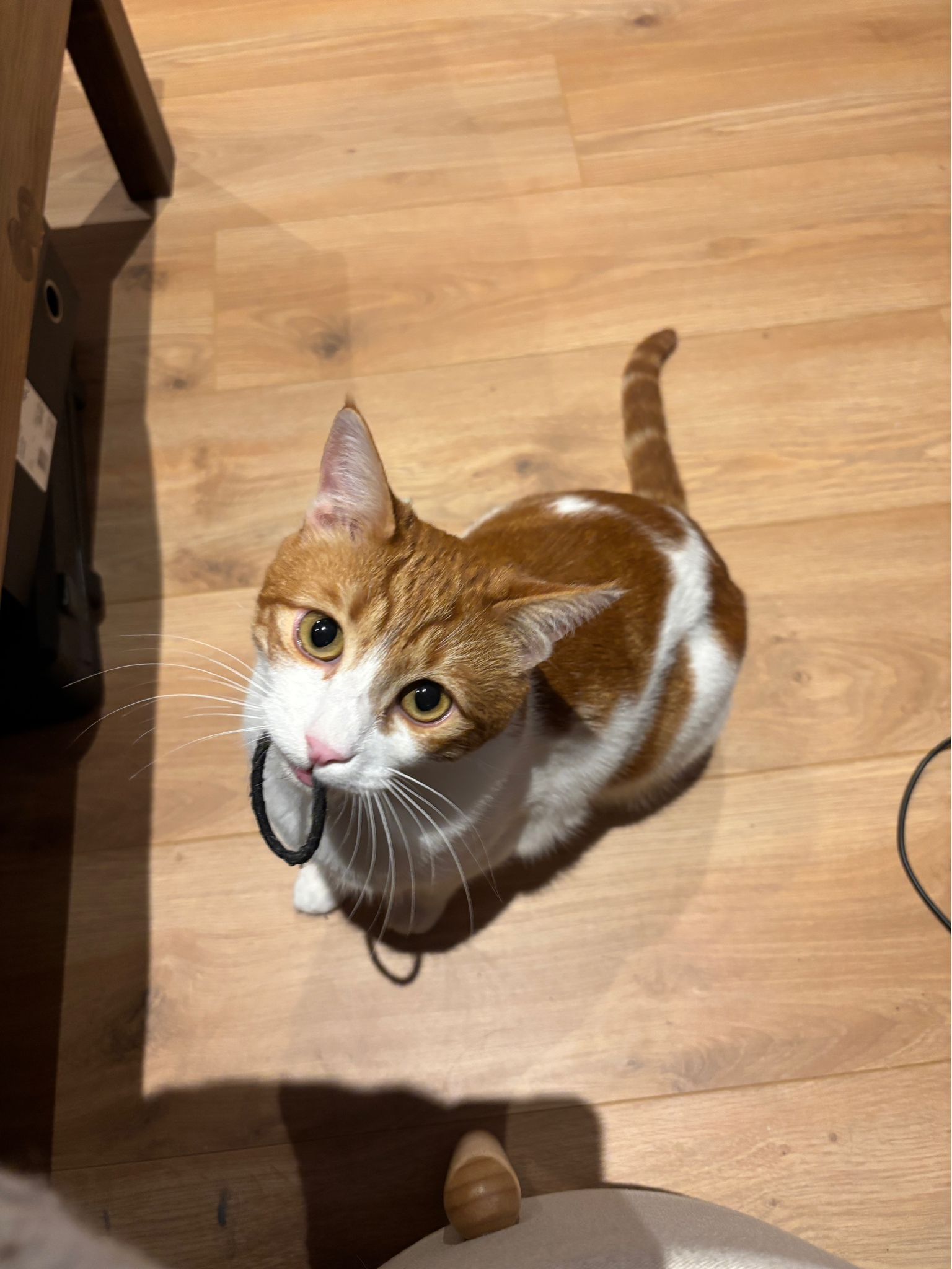 image-6