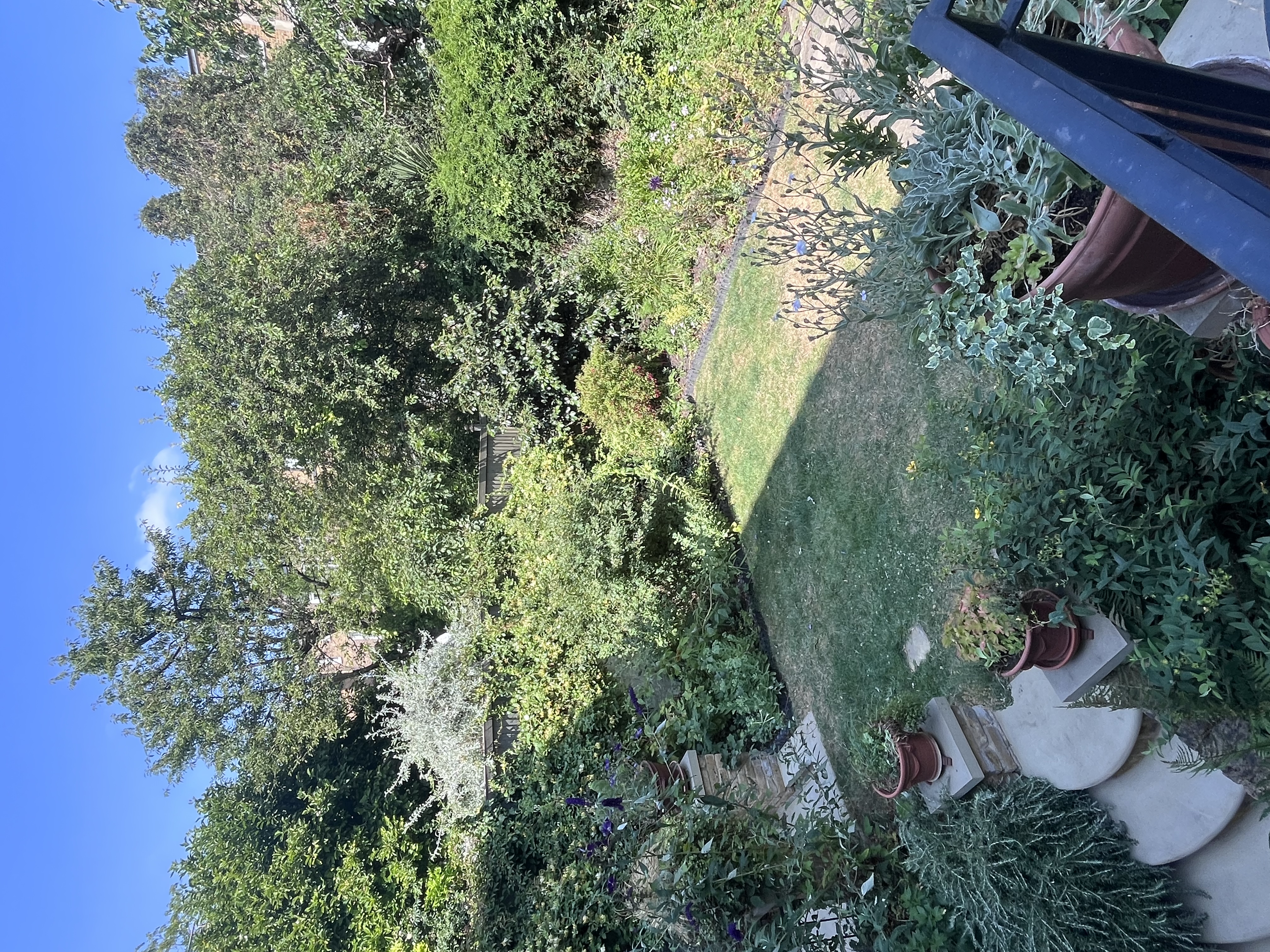 image-13