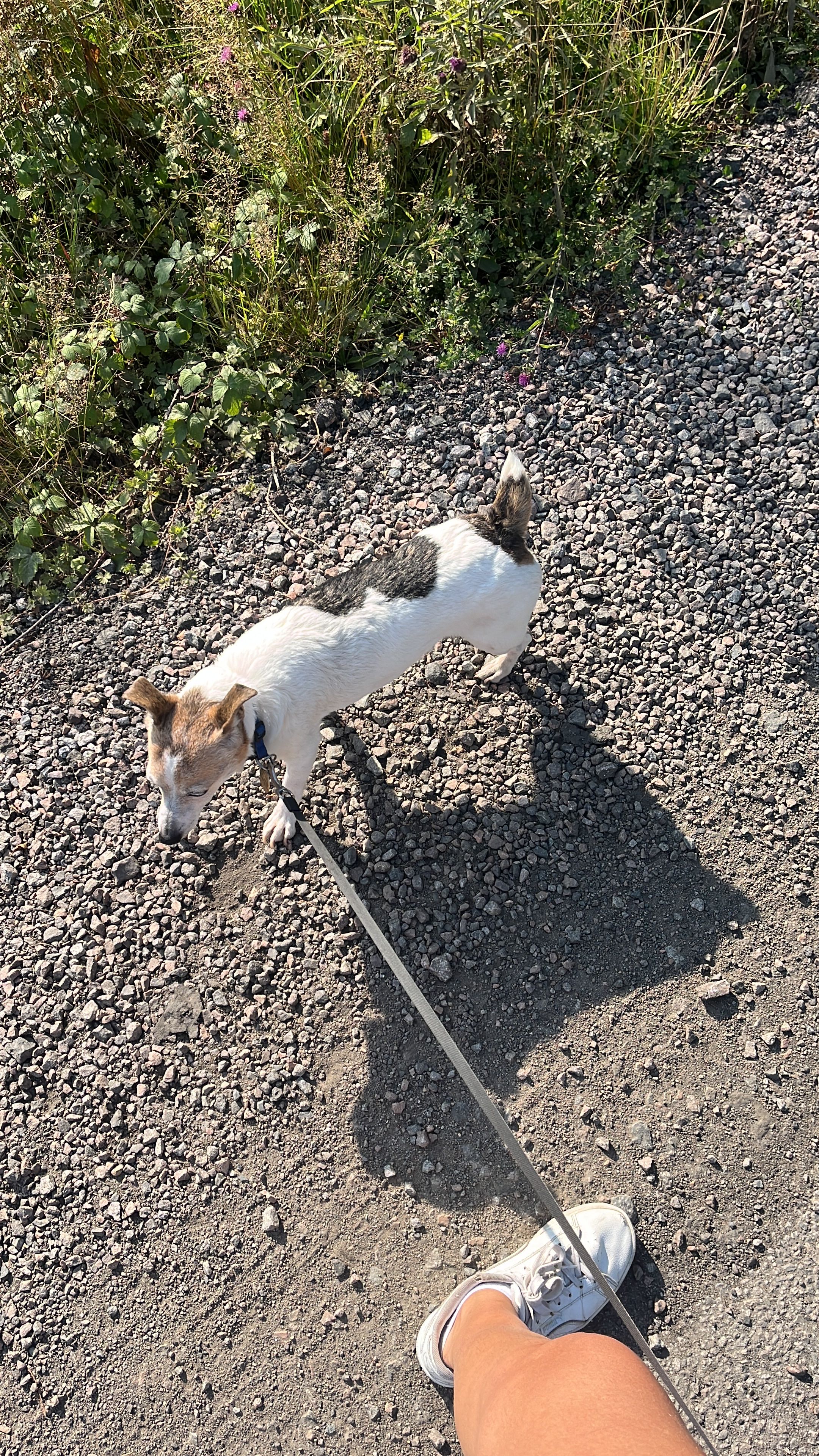 image-8
