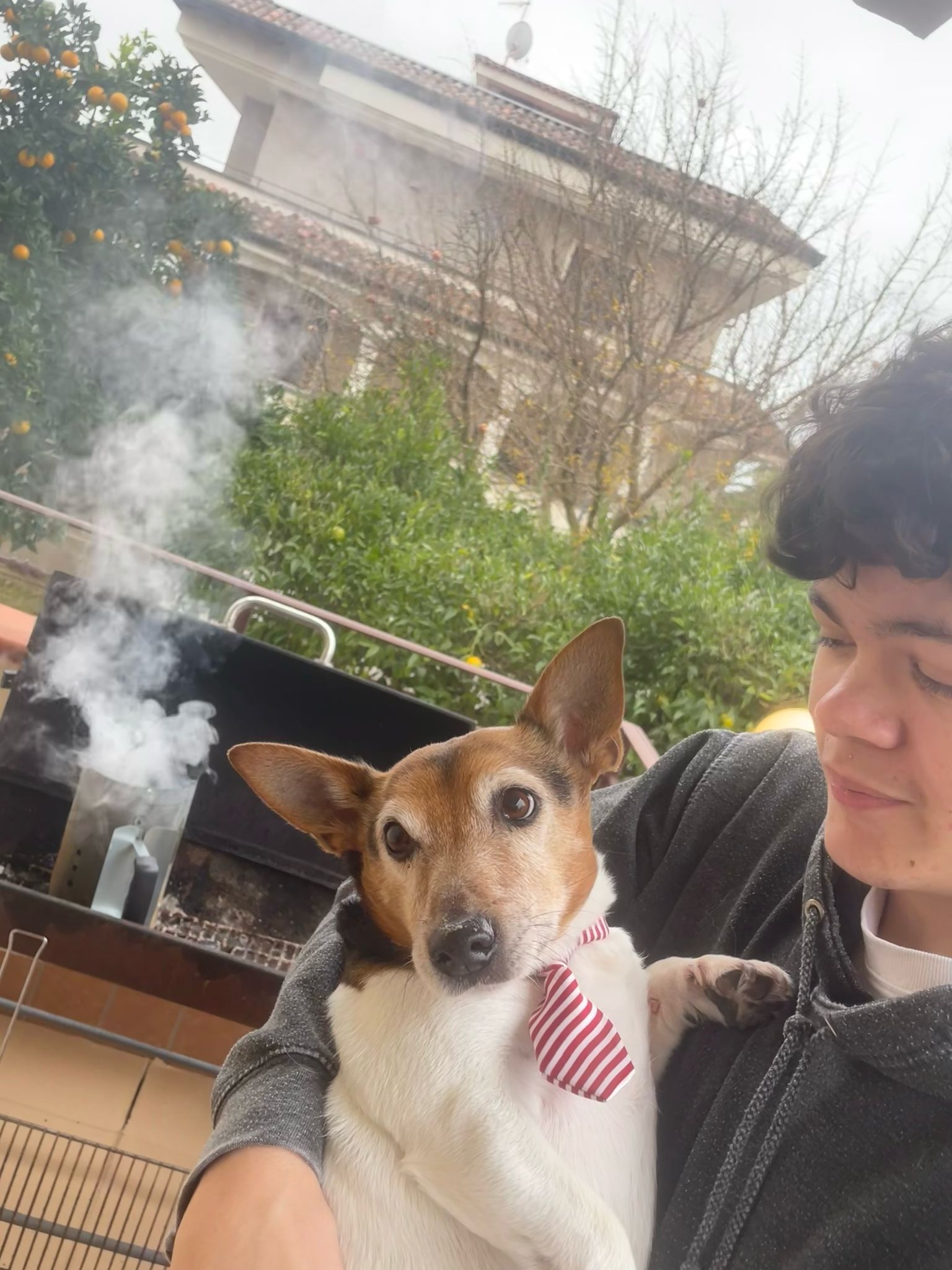 image-2