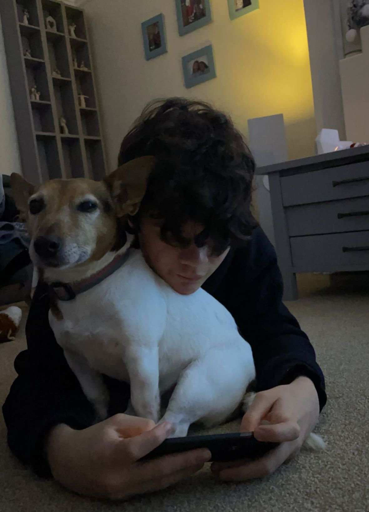 image-5