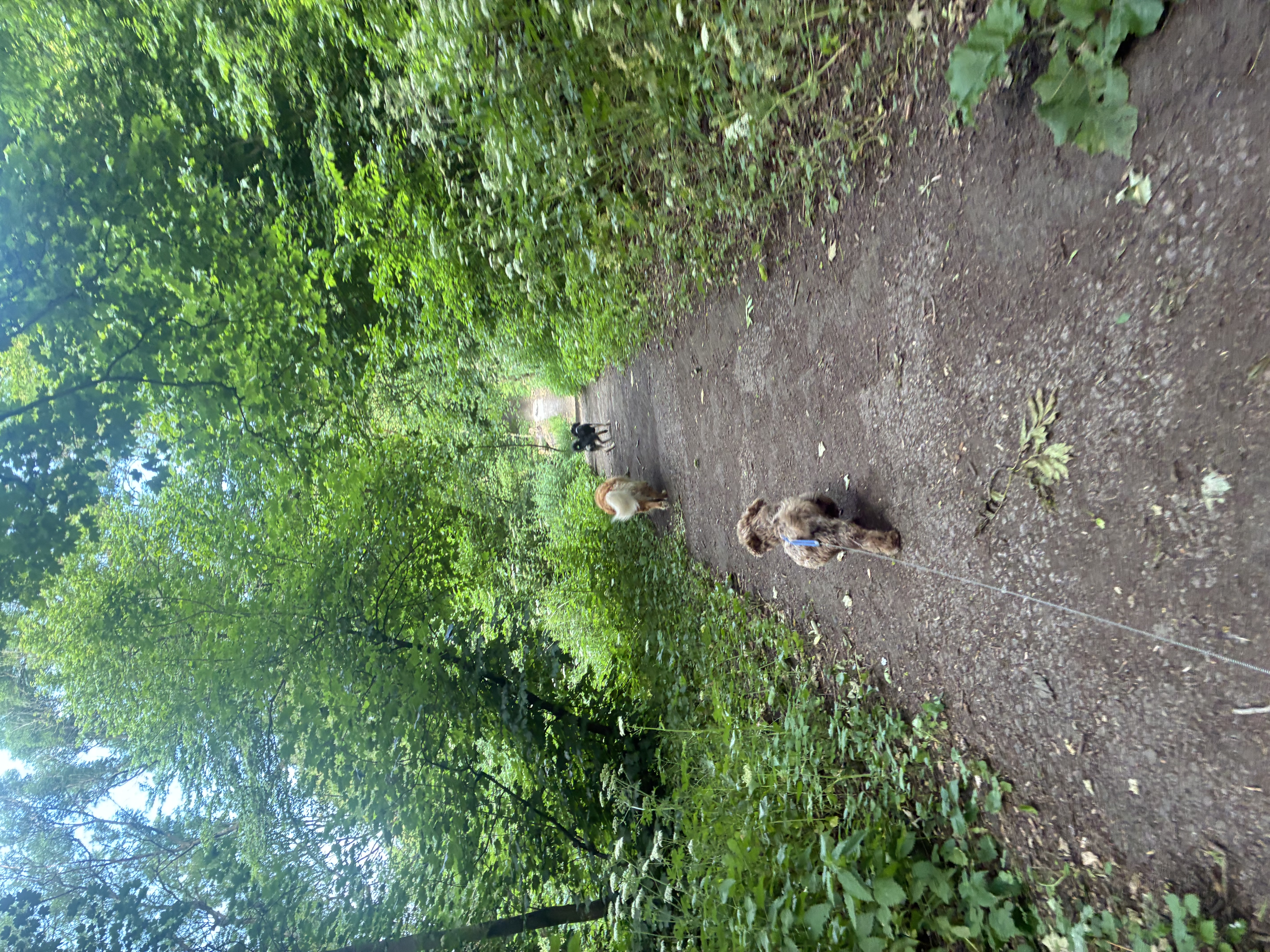 image-3
