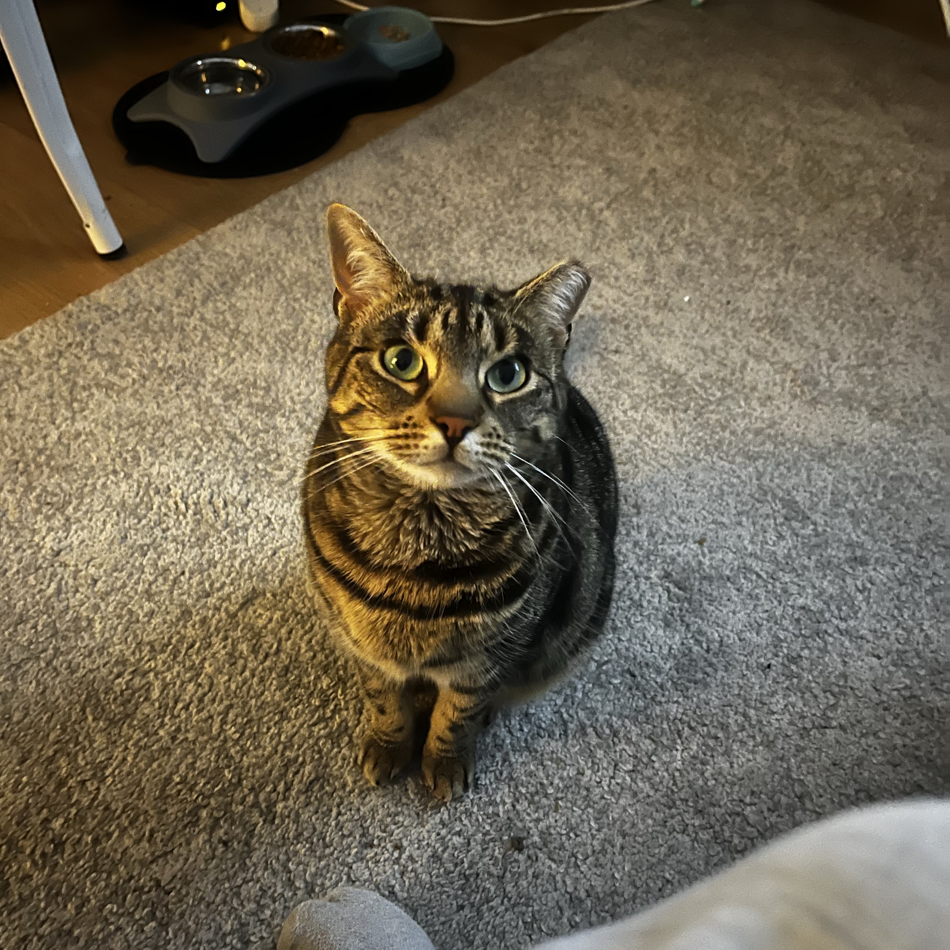 Tilly