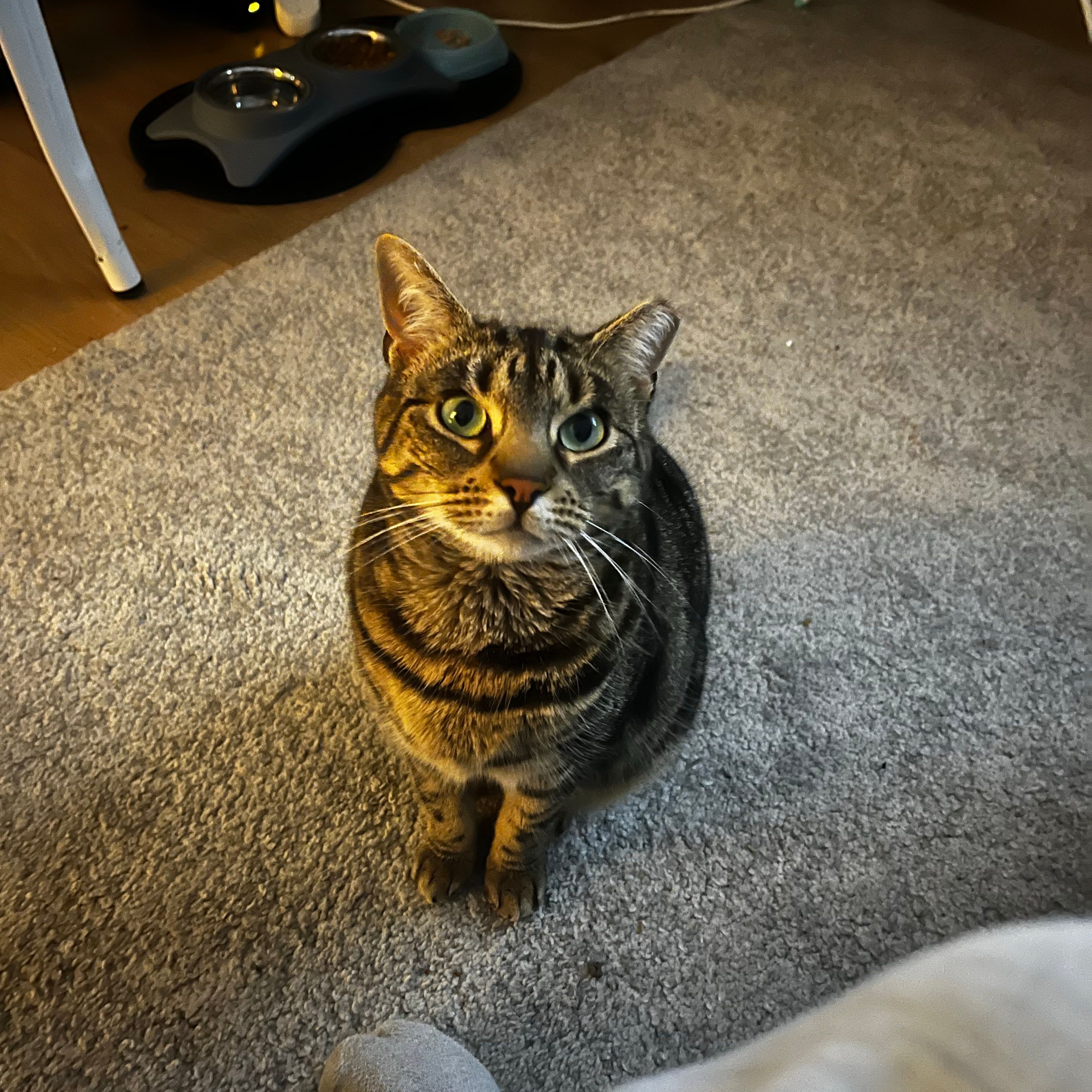 Tilly