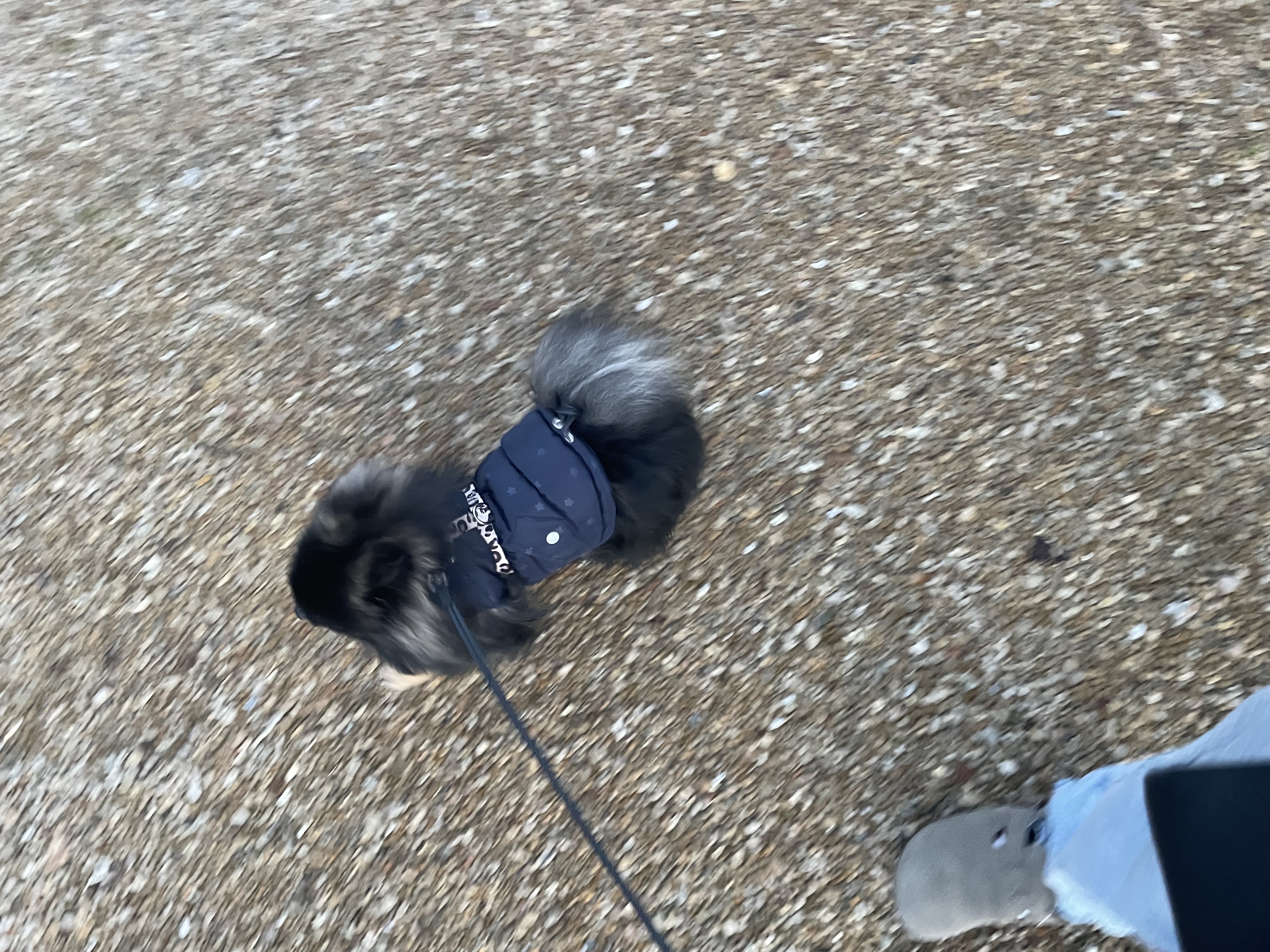 image-9