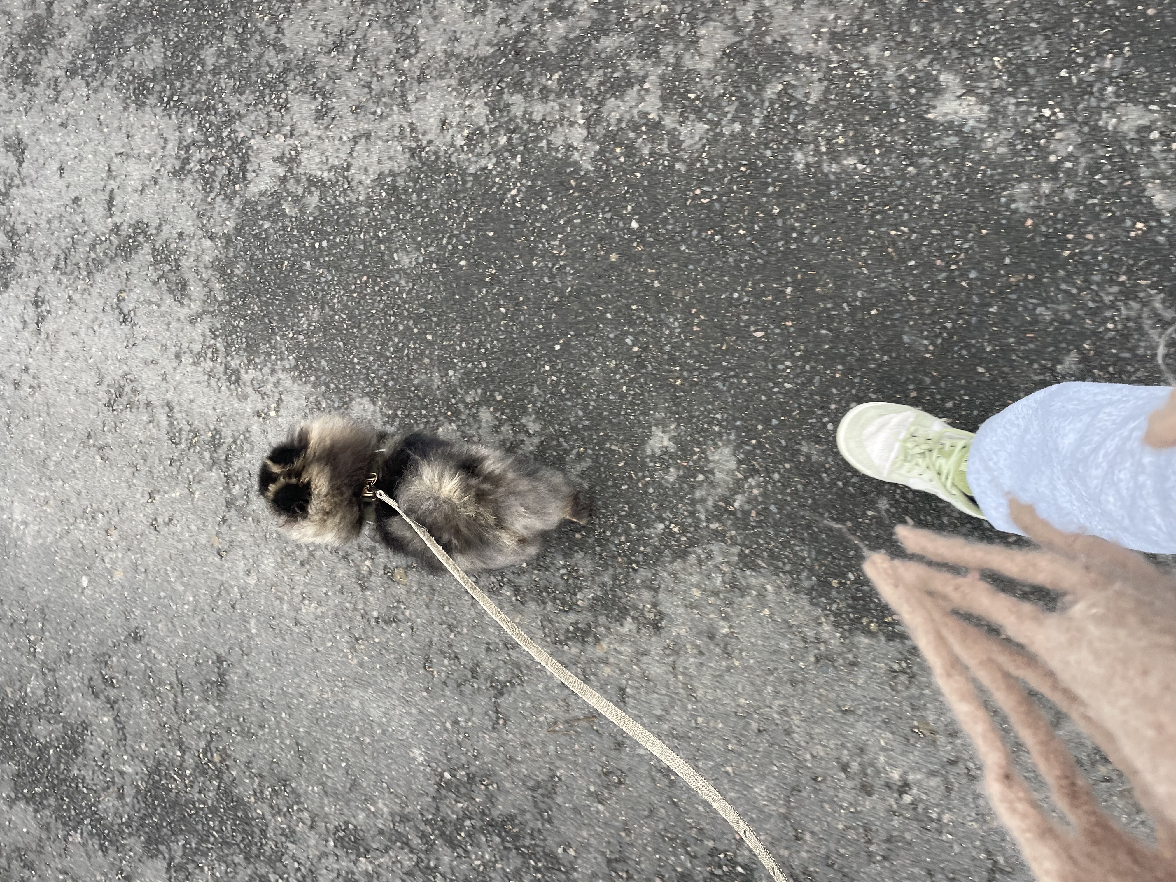 image-7
