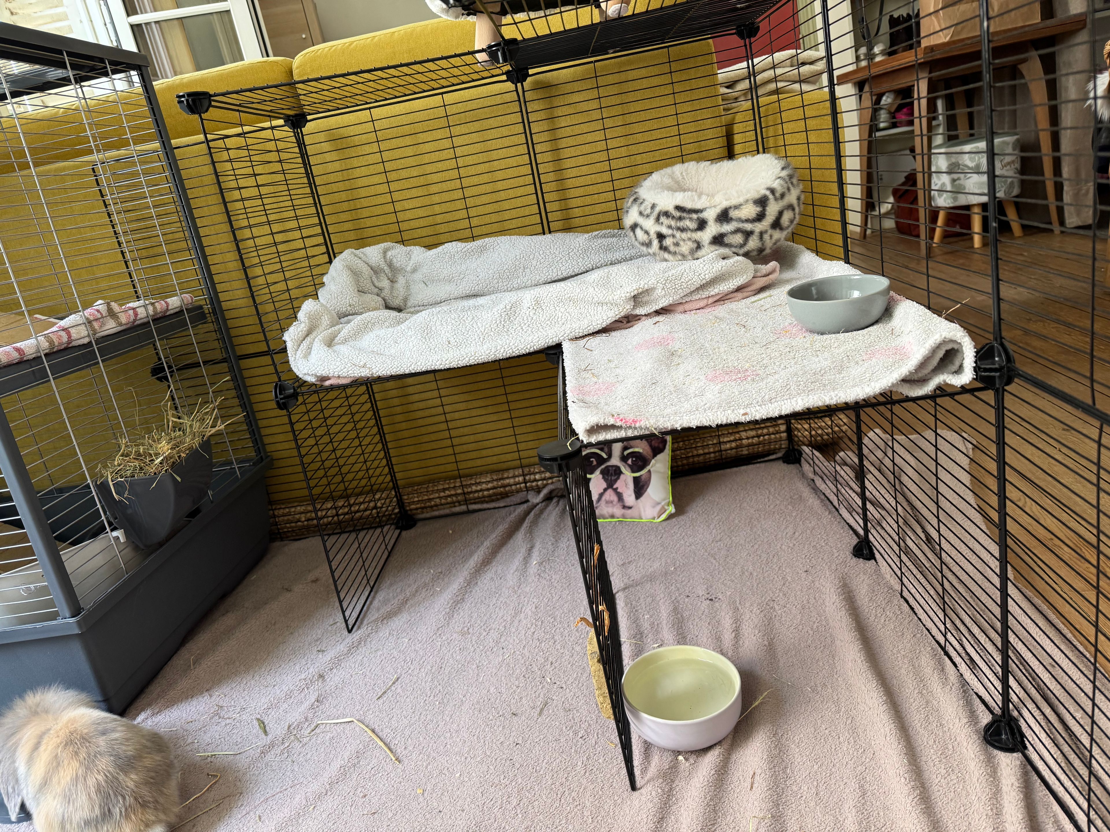 image-14