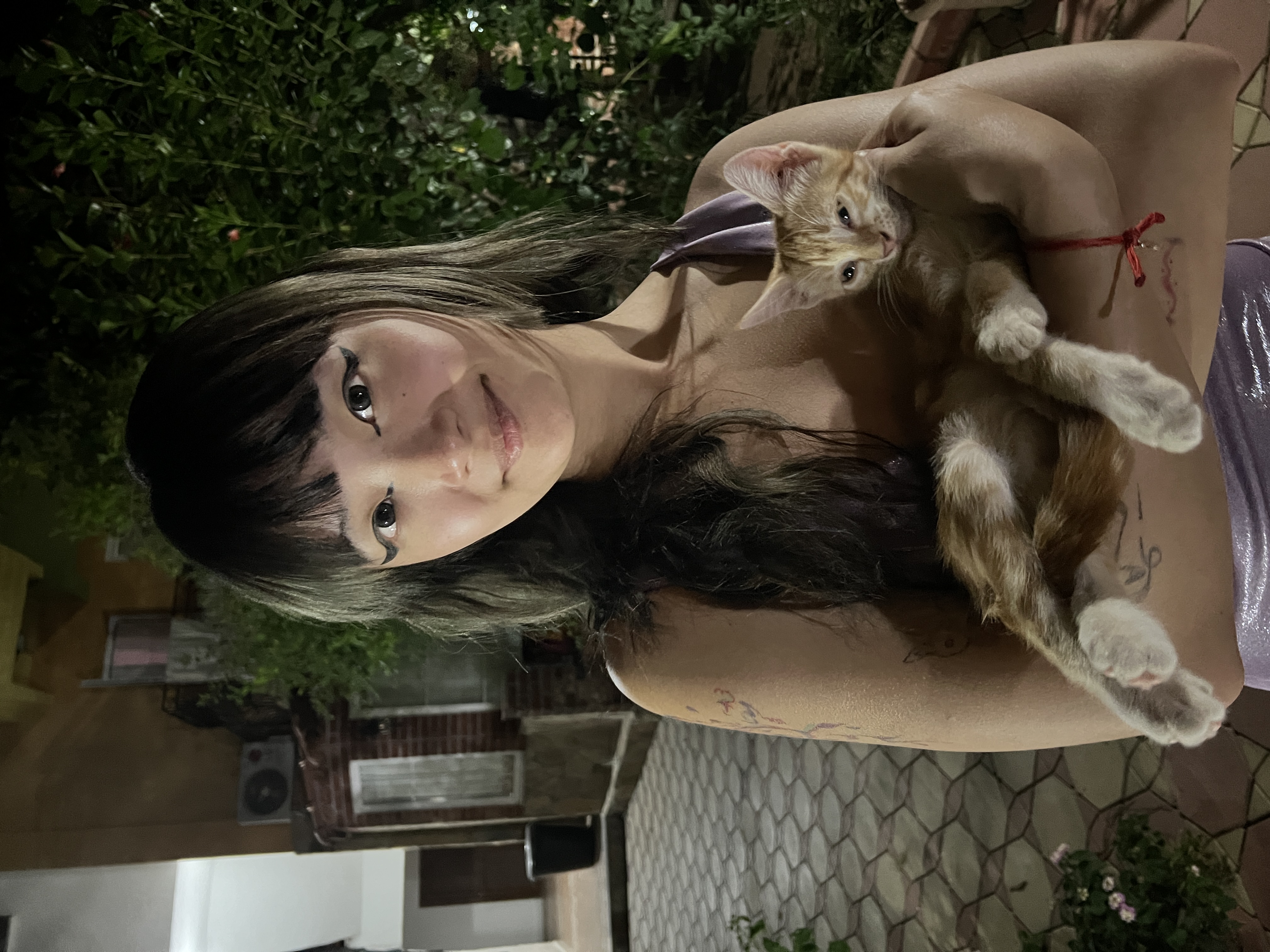 image-6