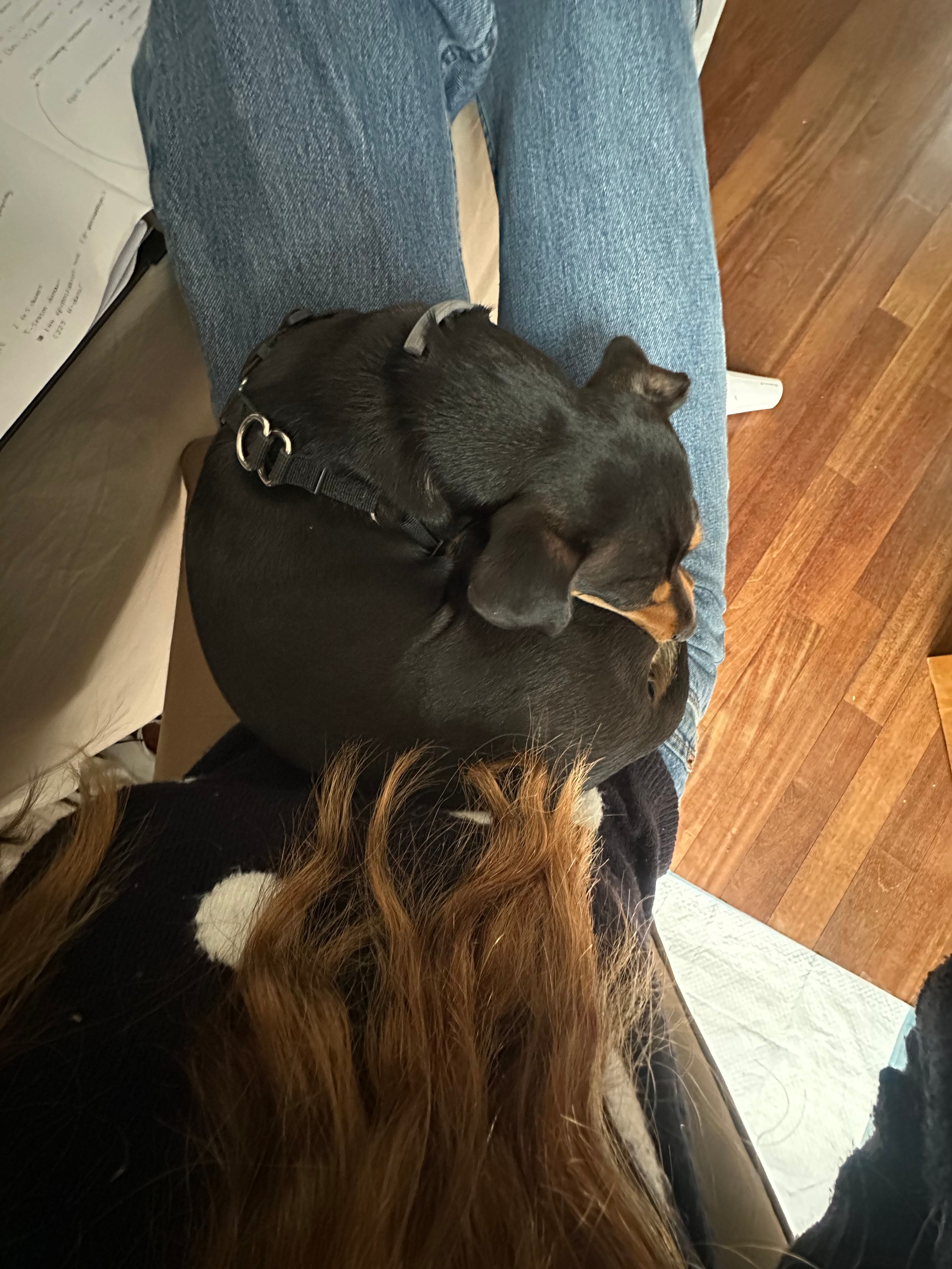 image-7