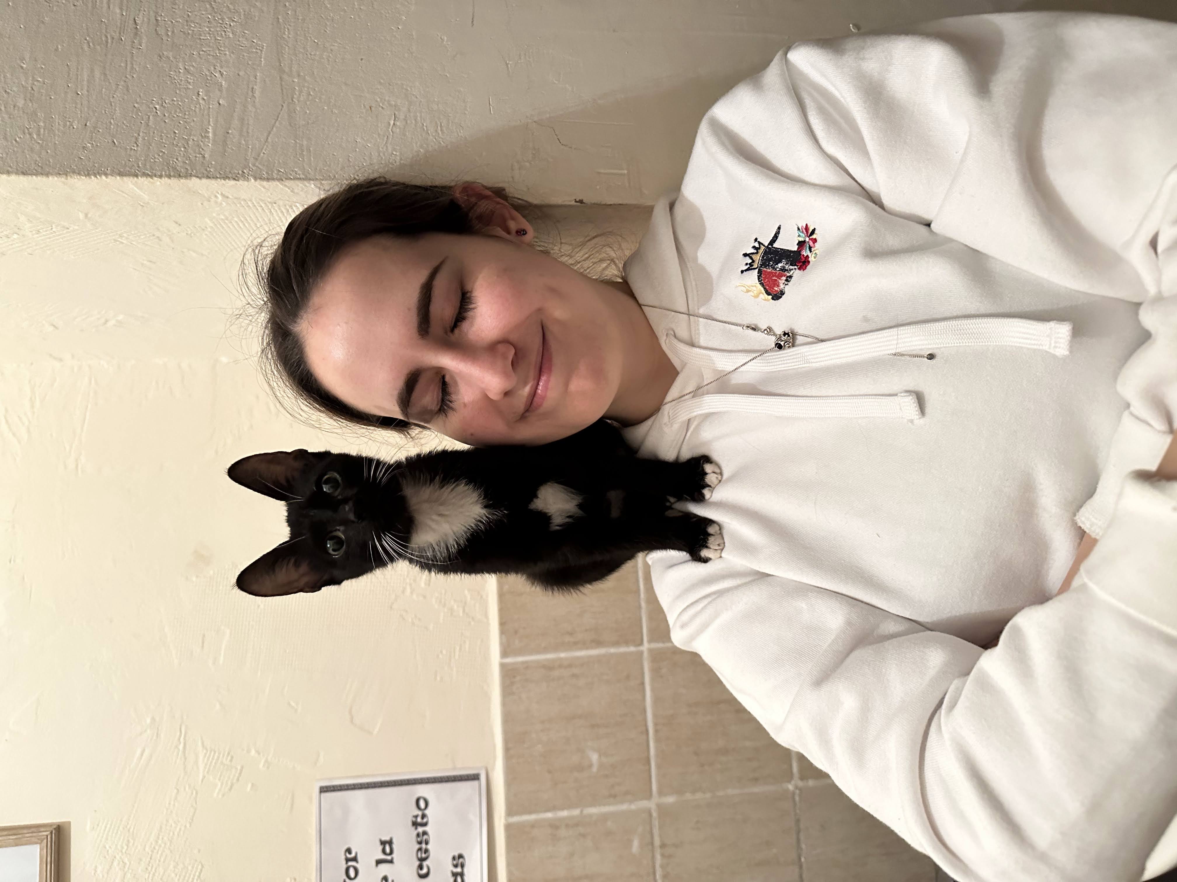 image-7
