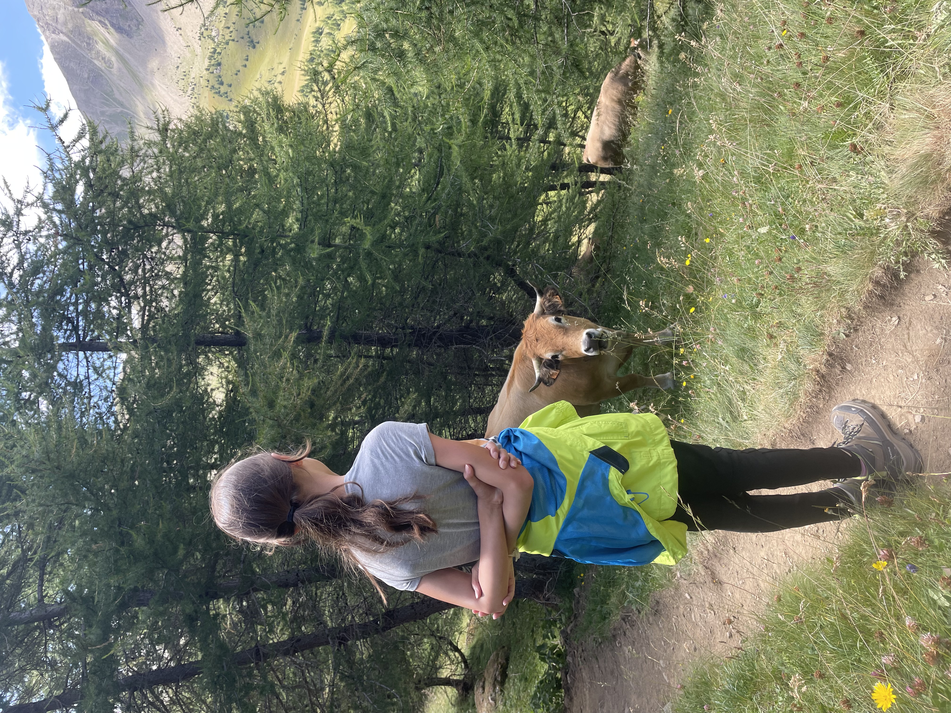 image-7