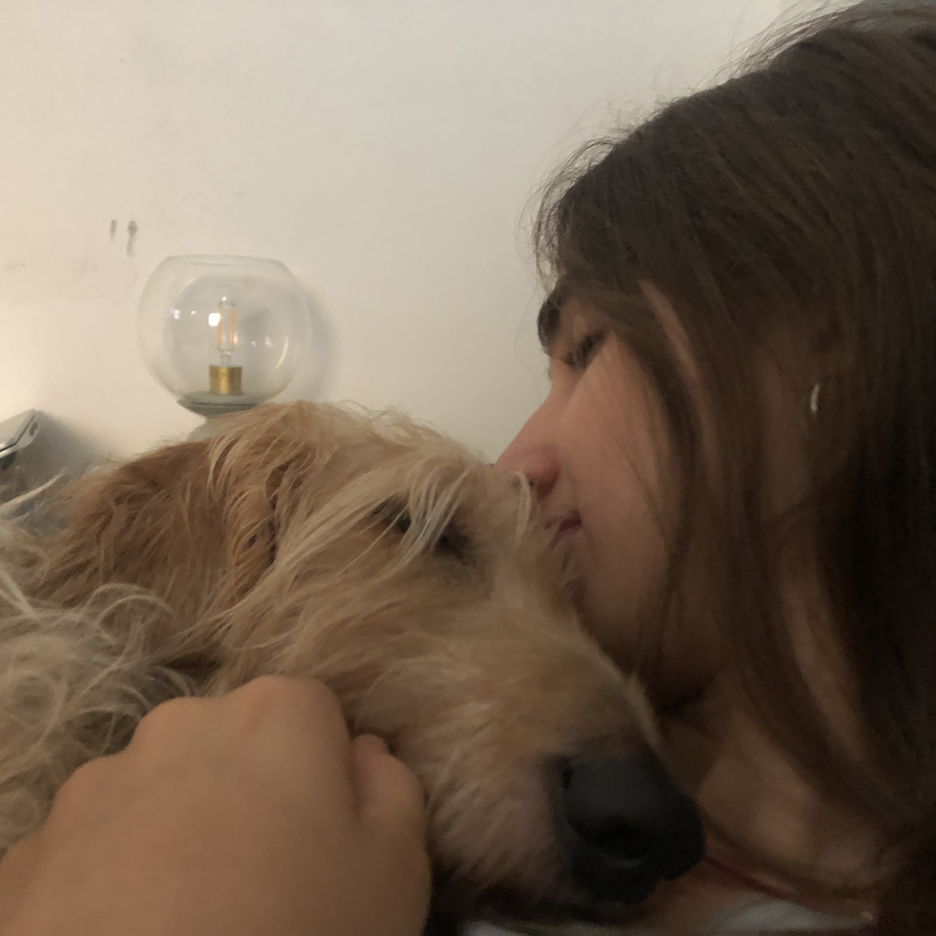 image-5