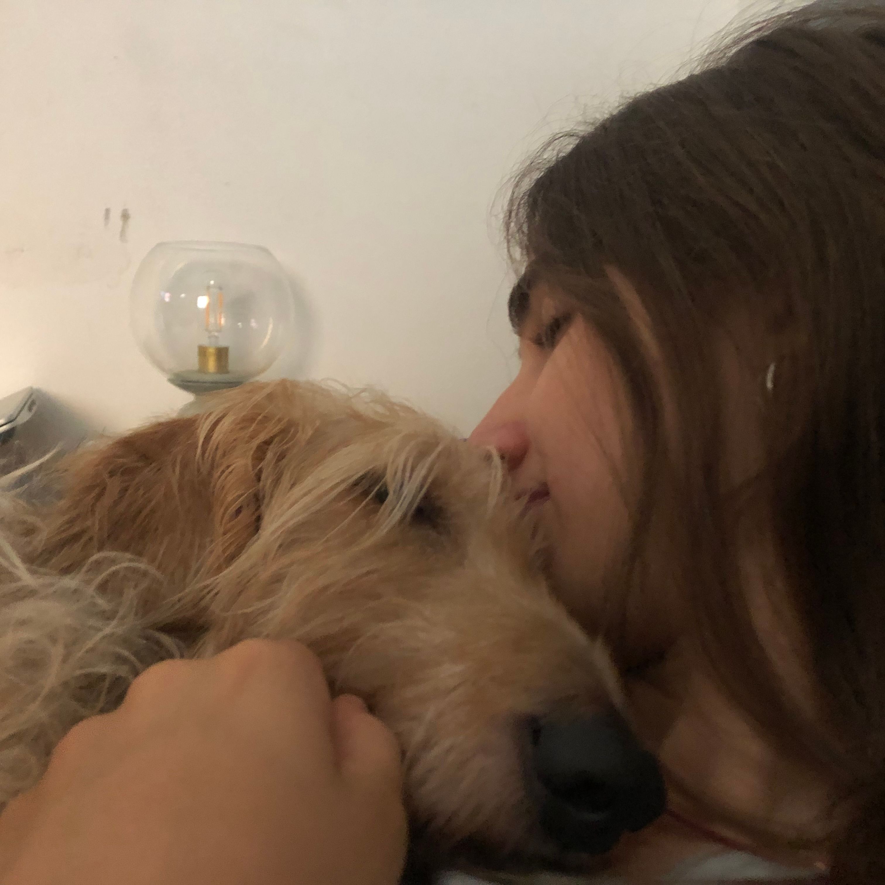 image-5