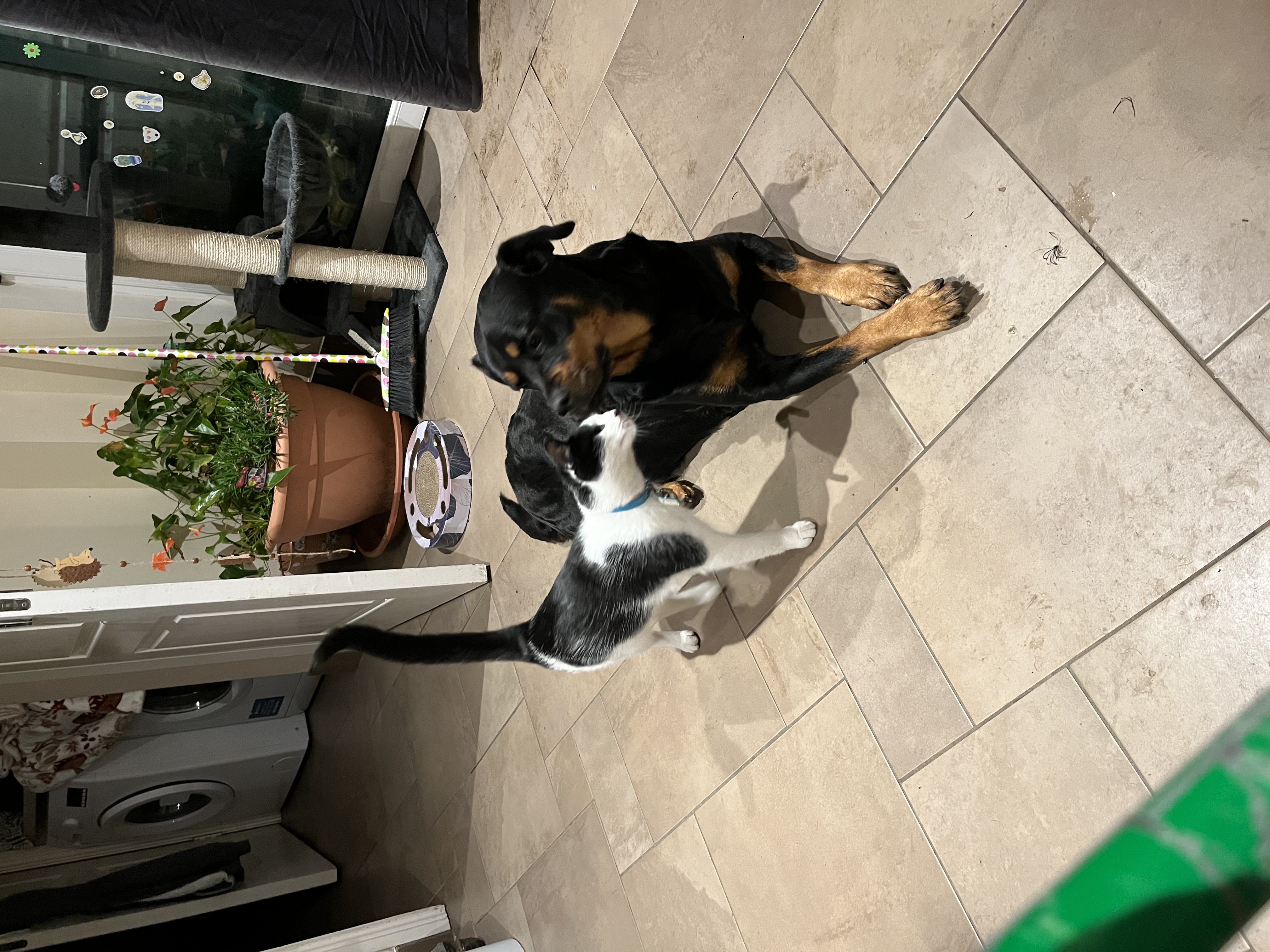 image-3