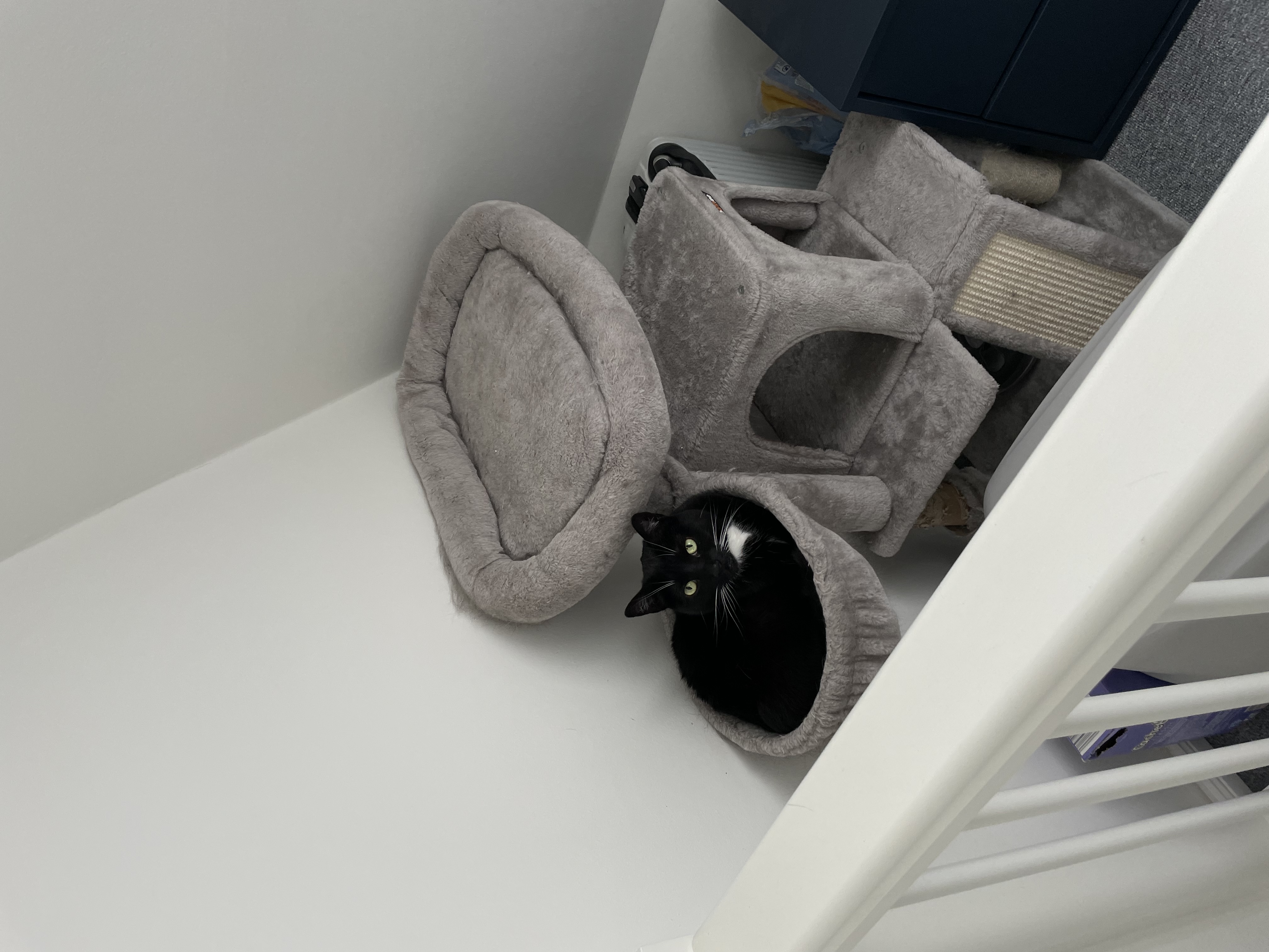 image-12