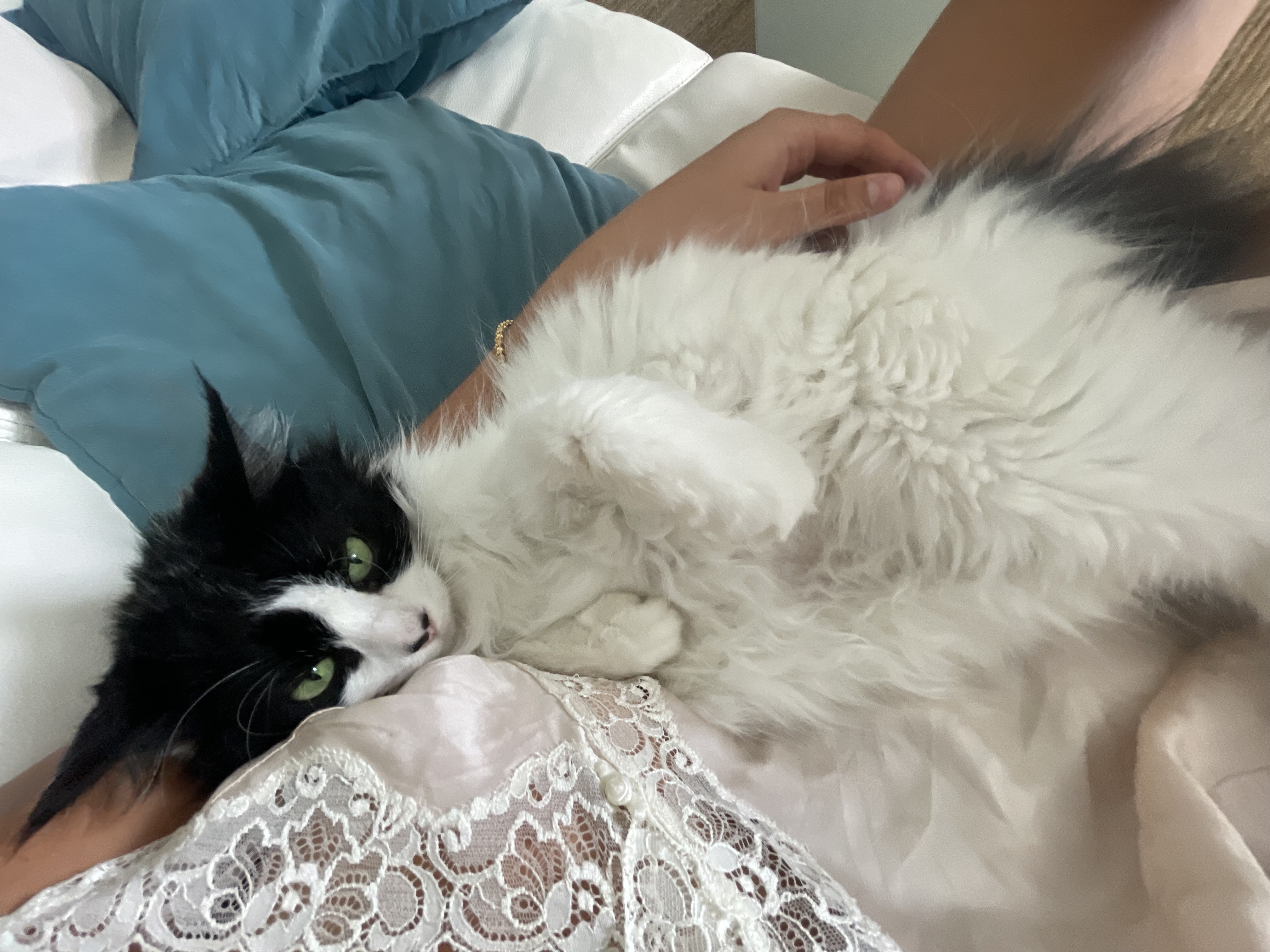image-6