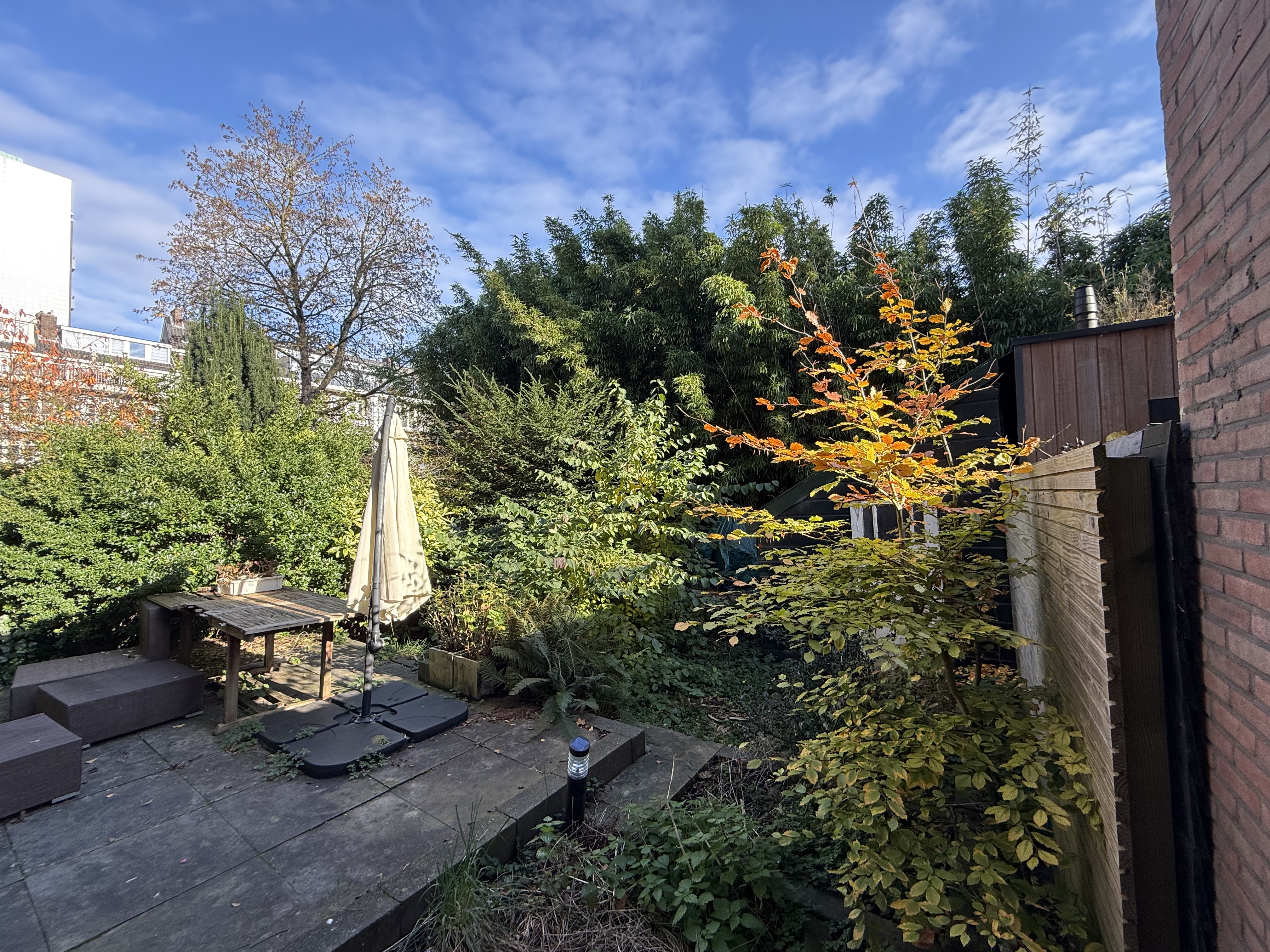 image-21