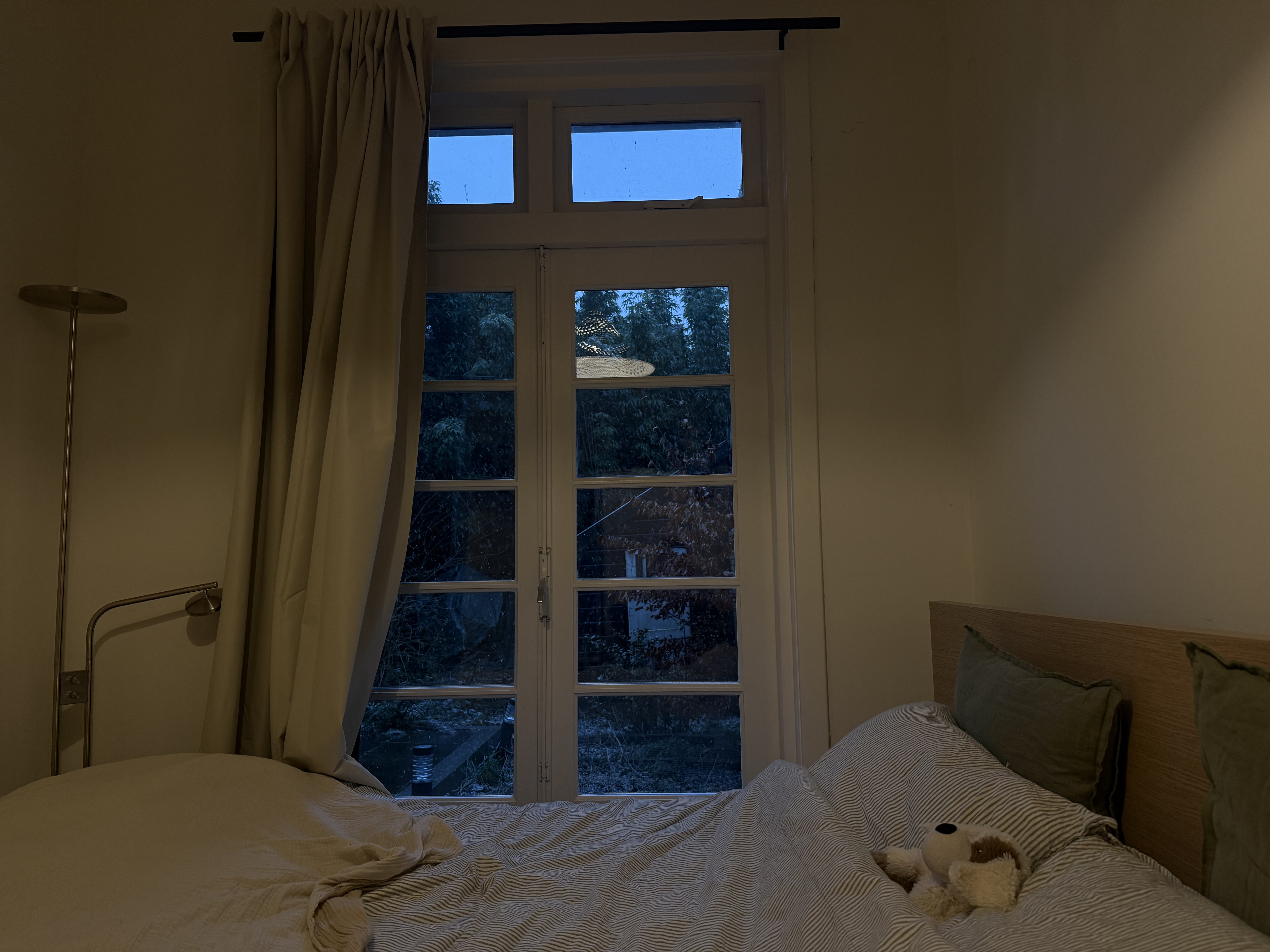 image-20