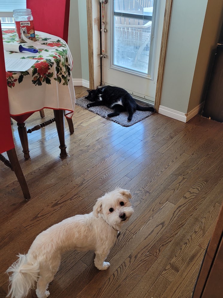 image-19