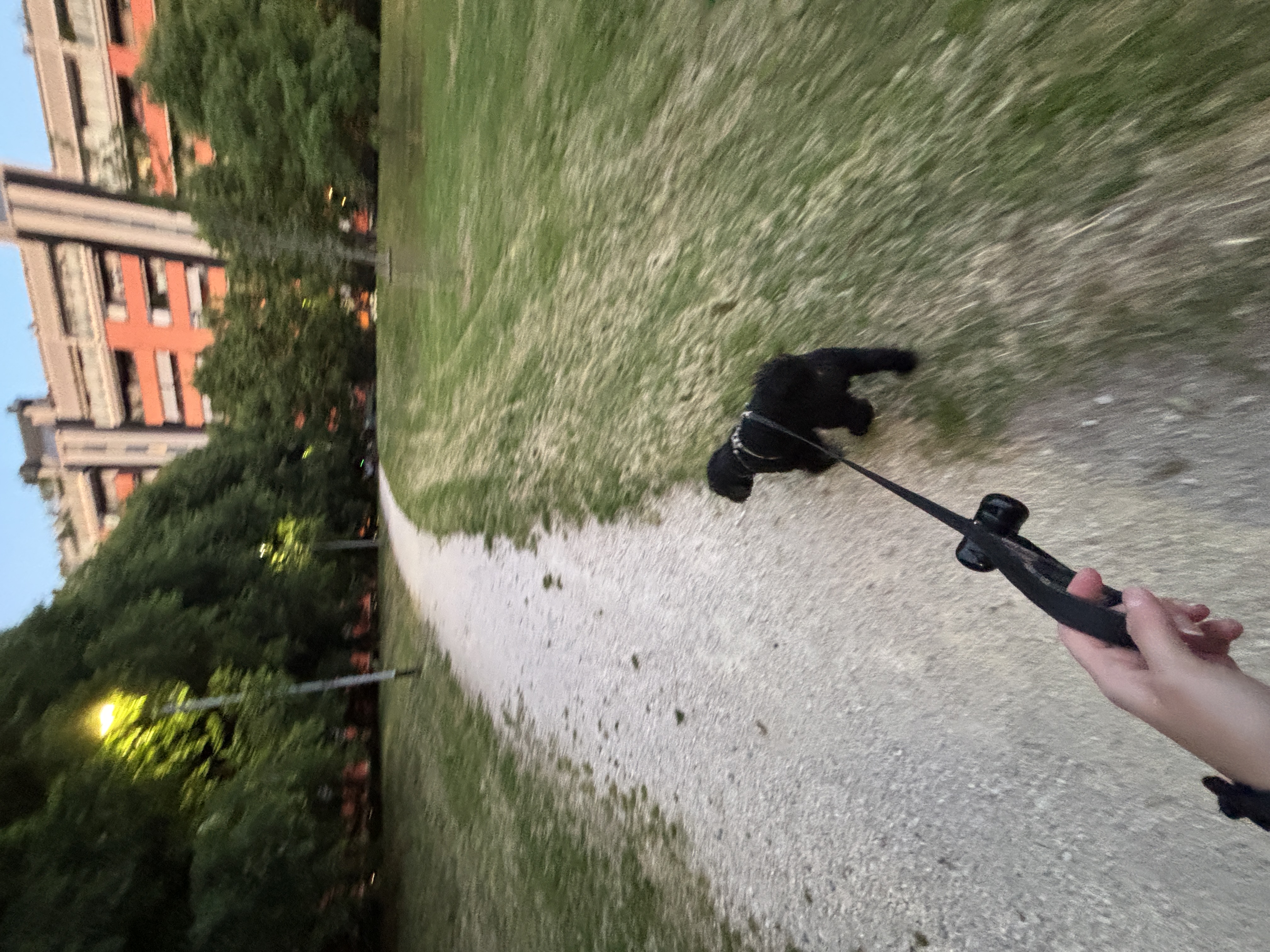 image-10
