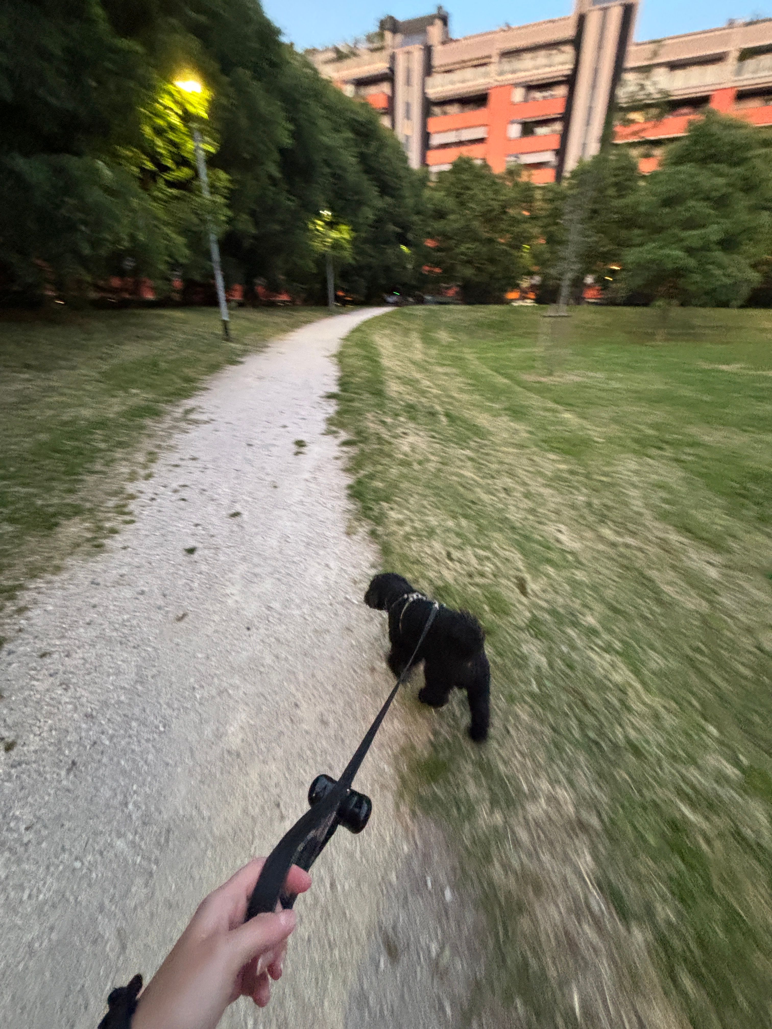 image-10