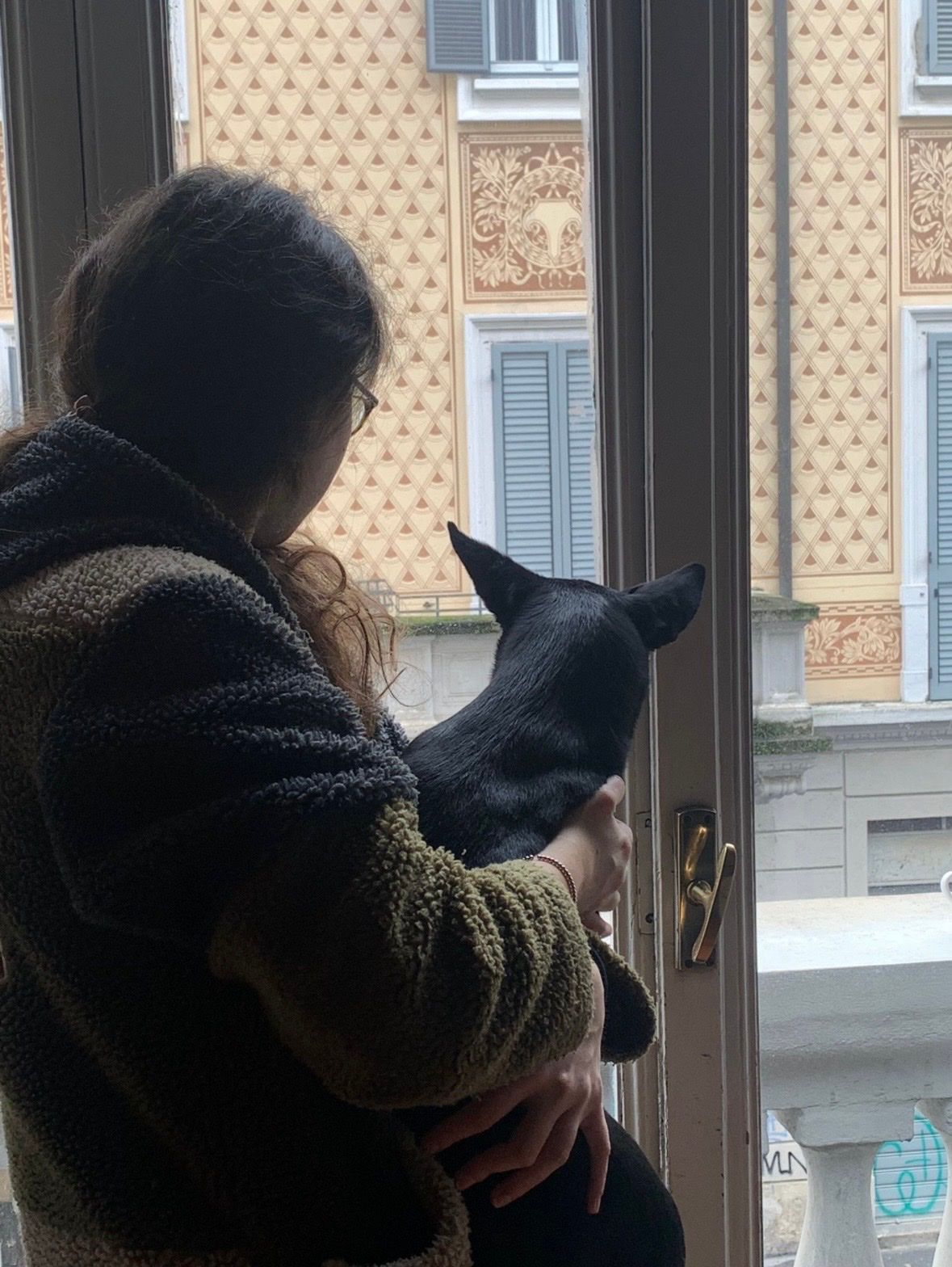 image-6