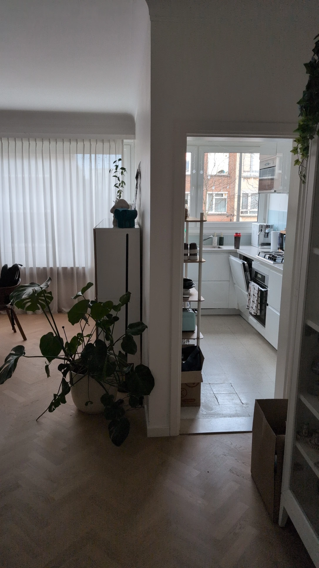 image-6