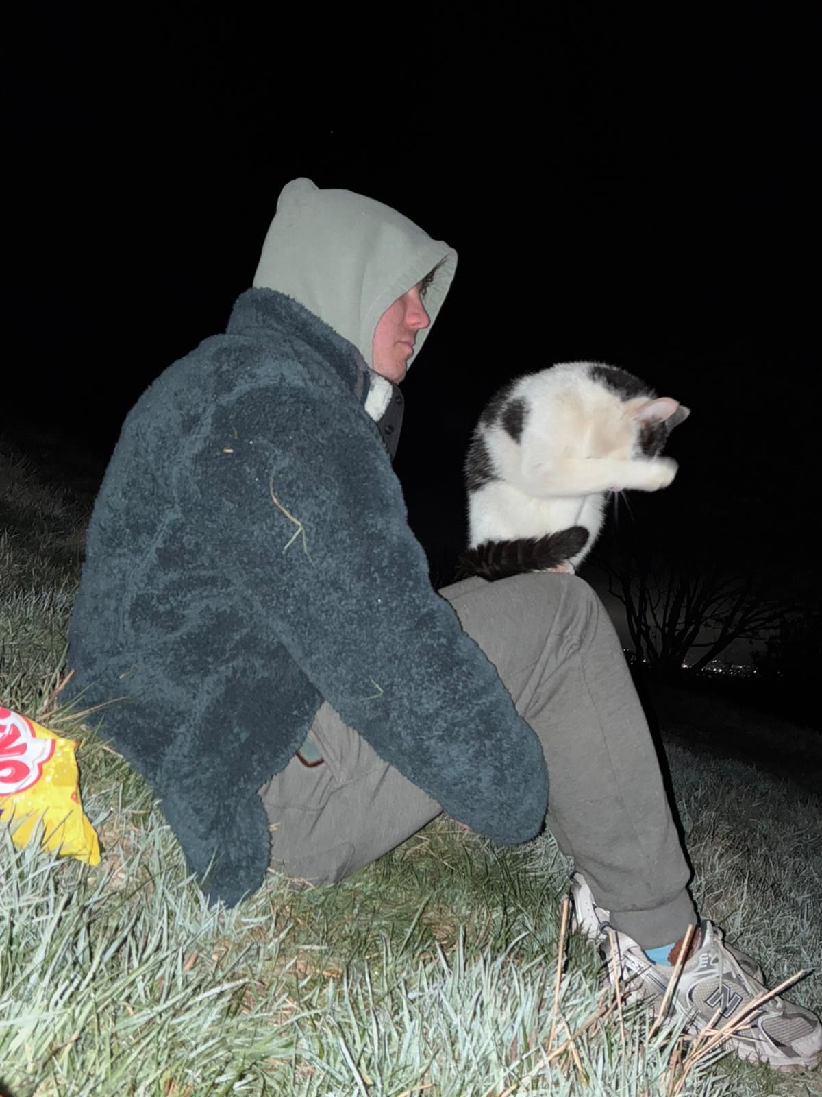 image-5