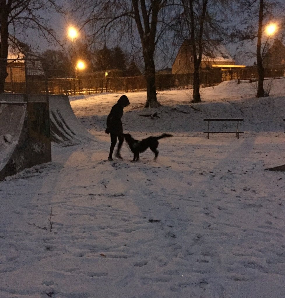 image-5