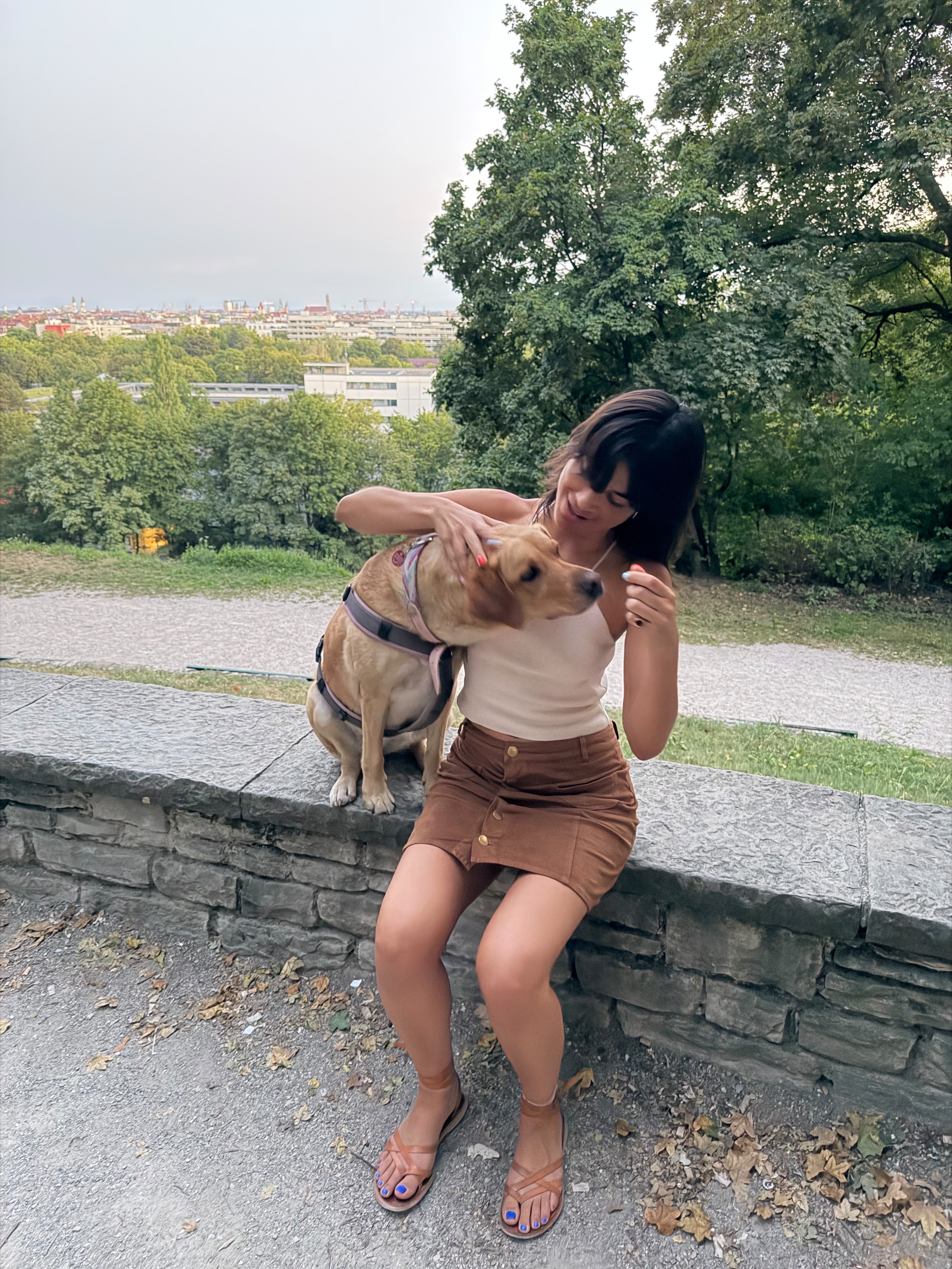 image-8