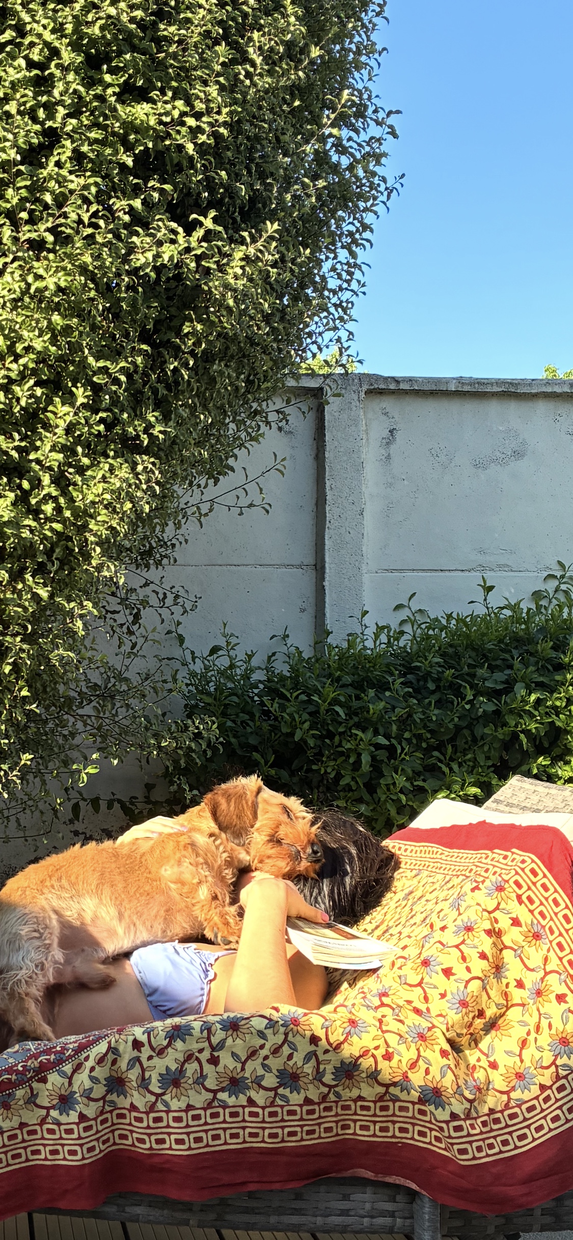 image-6