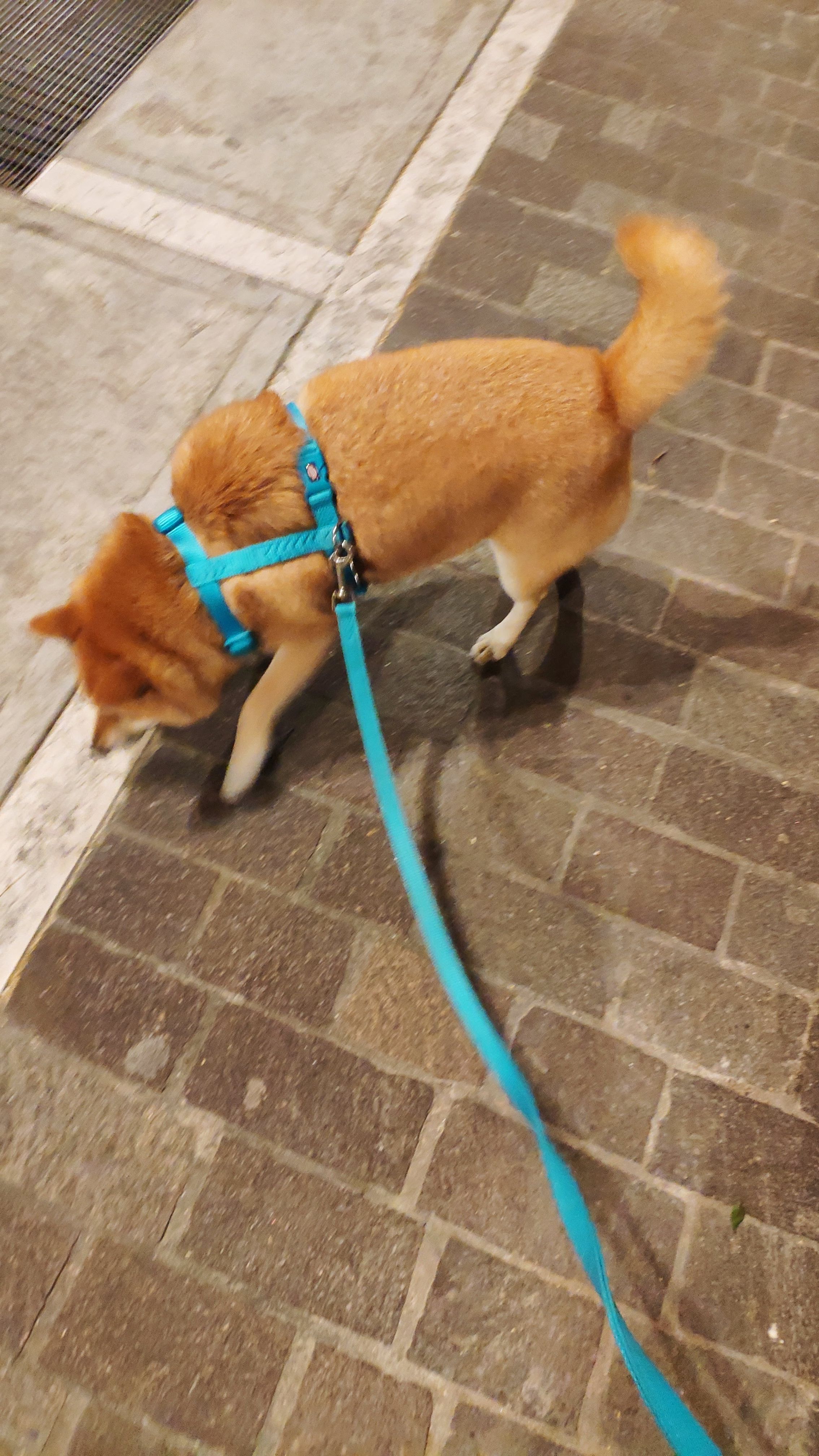 image-10