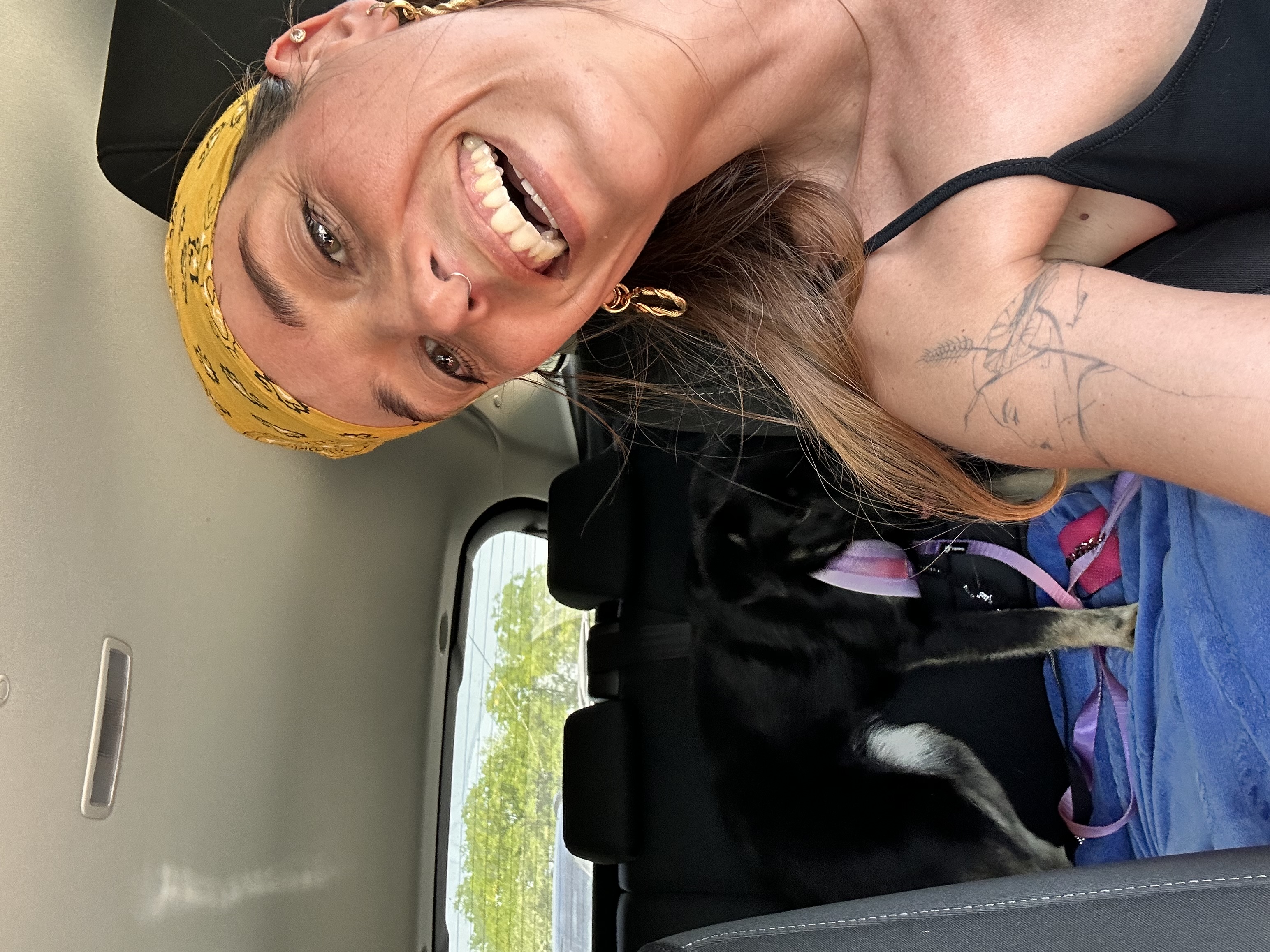 image-6